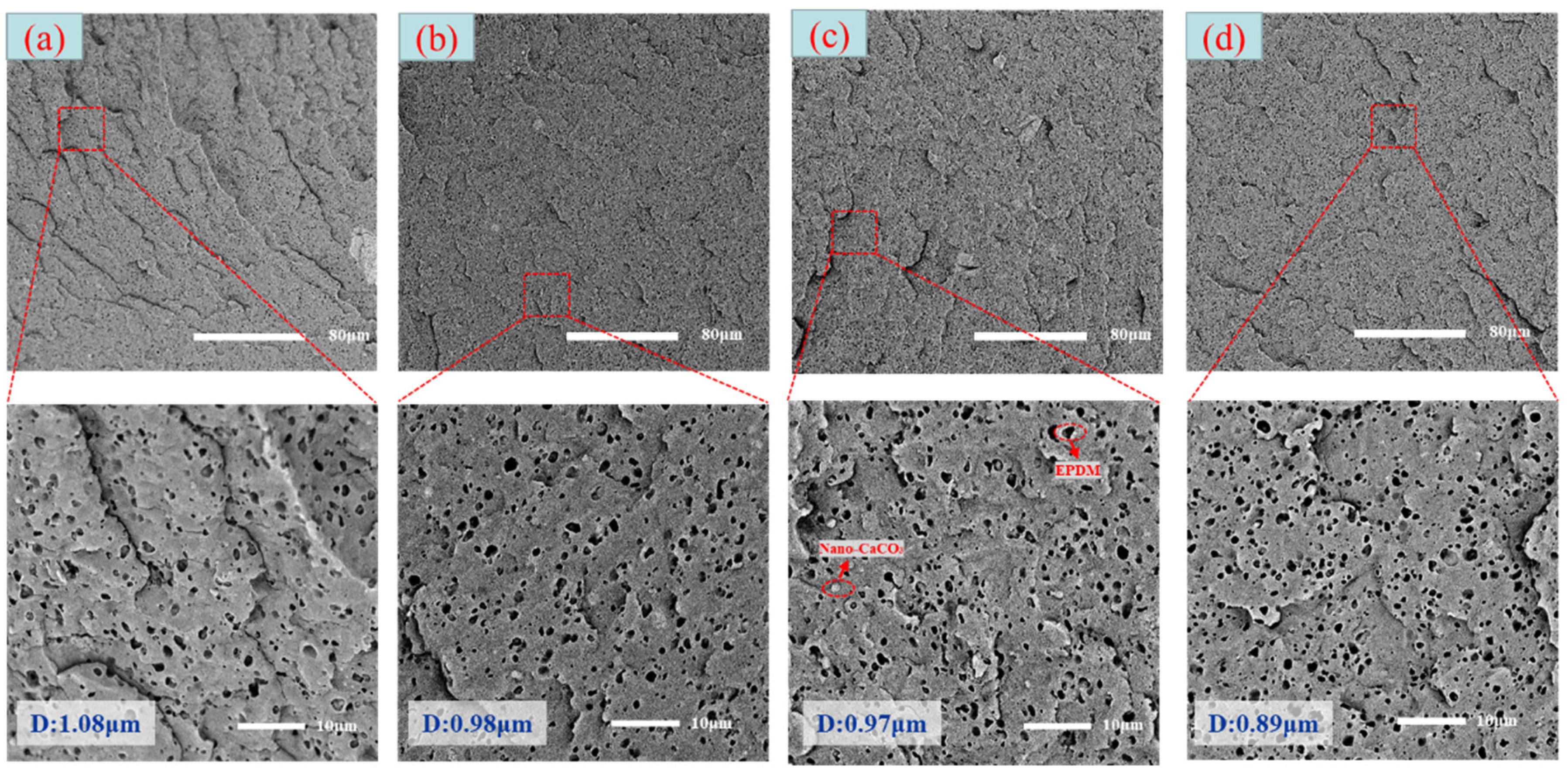 Polymers 15 03604 g008