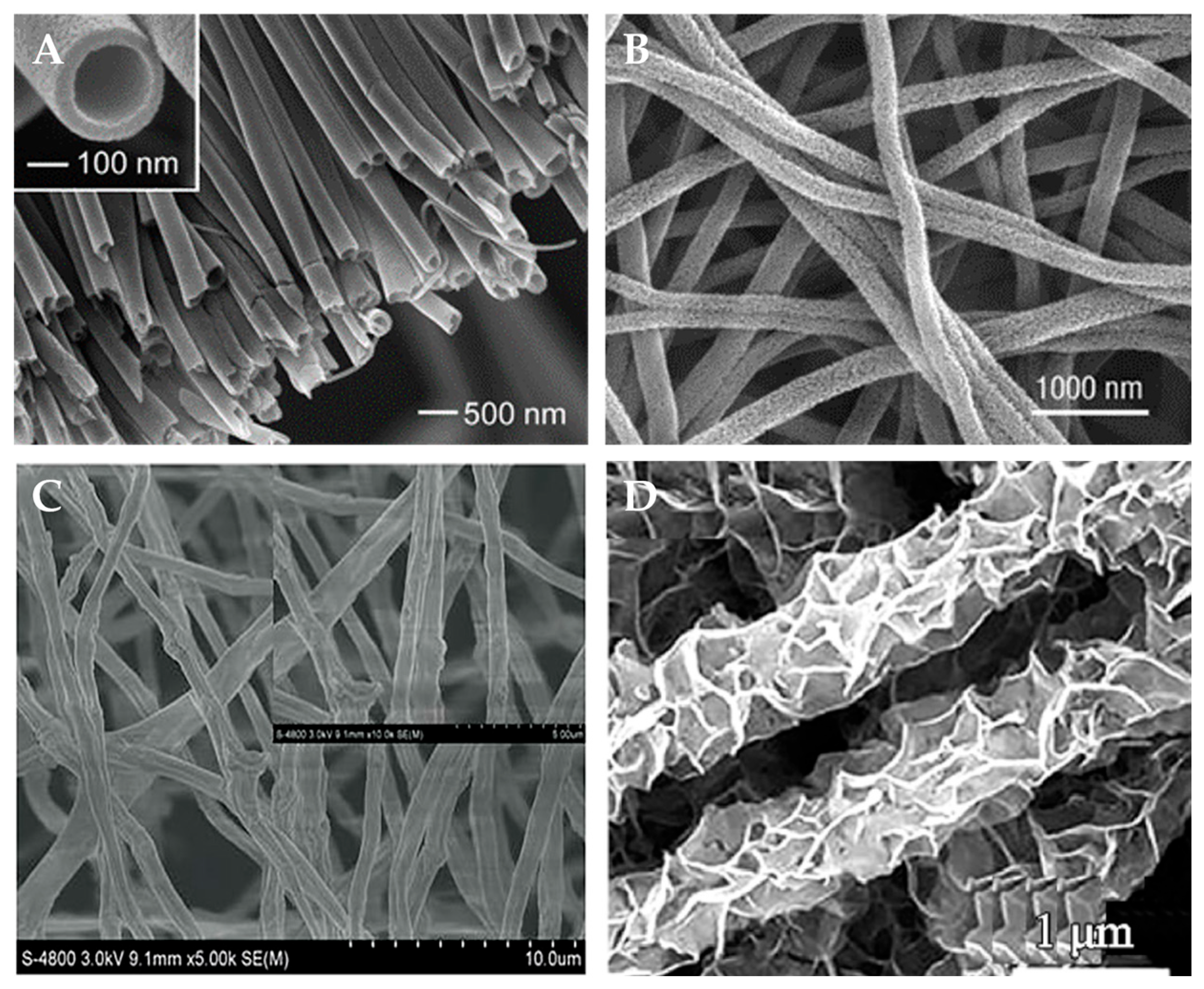 Polymers 15 03616 g006