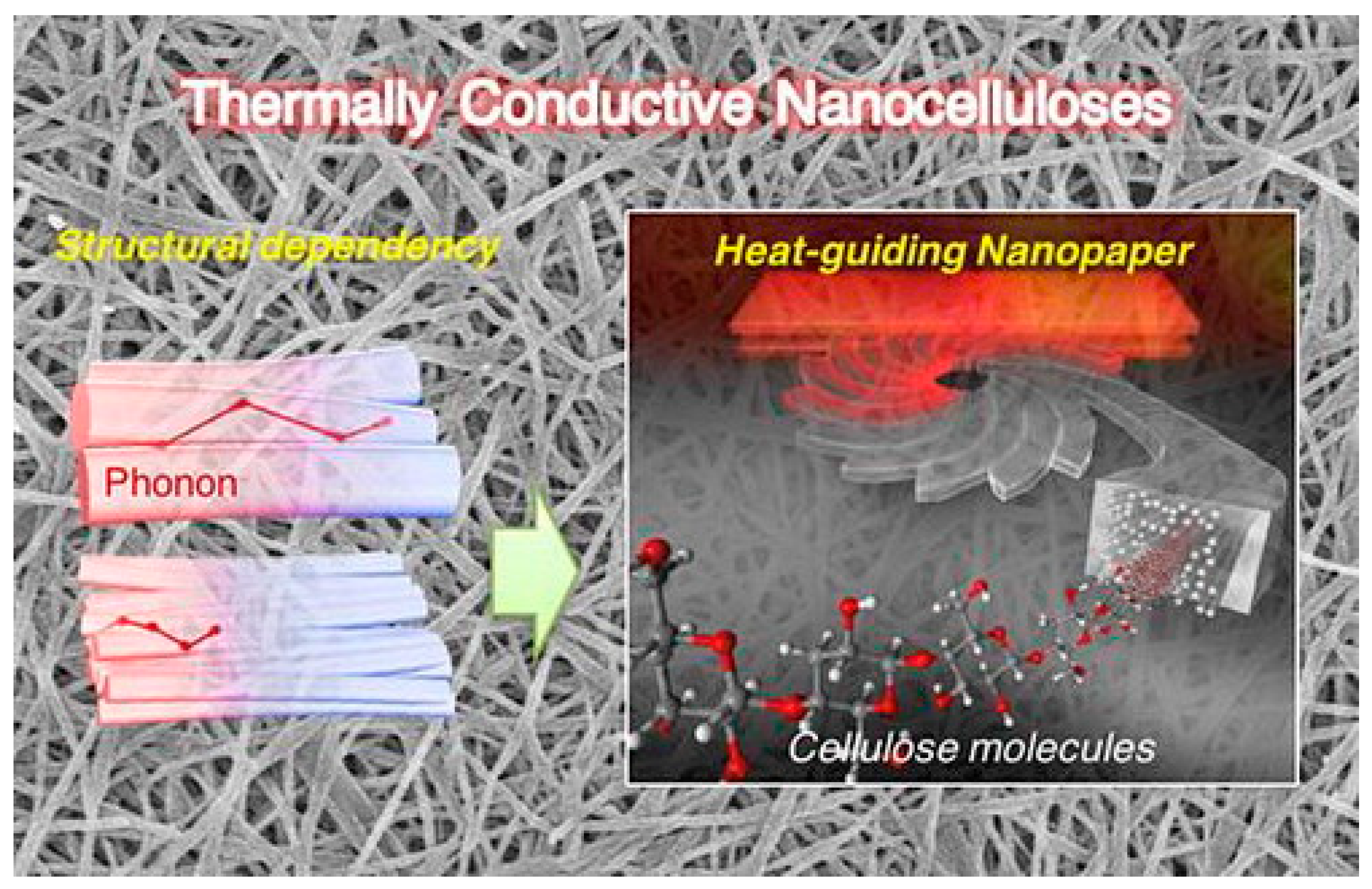 Polymers 15 03616 g009
