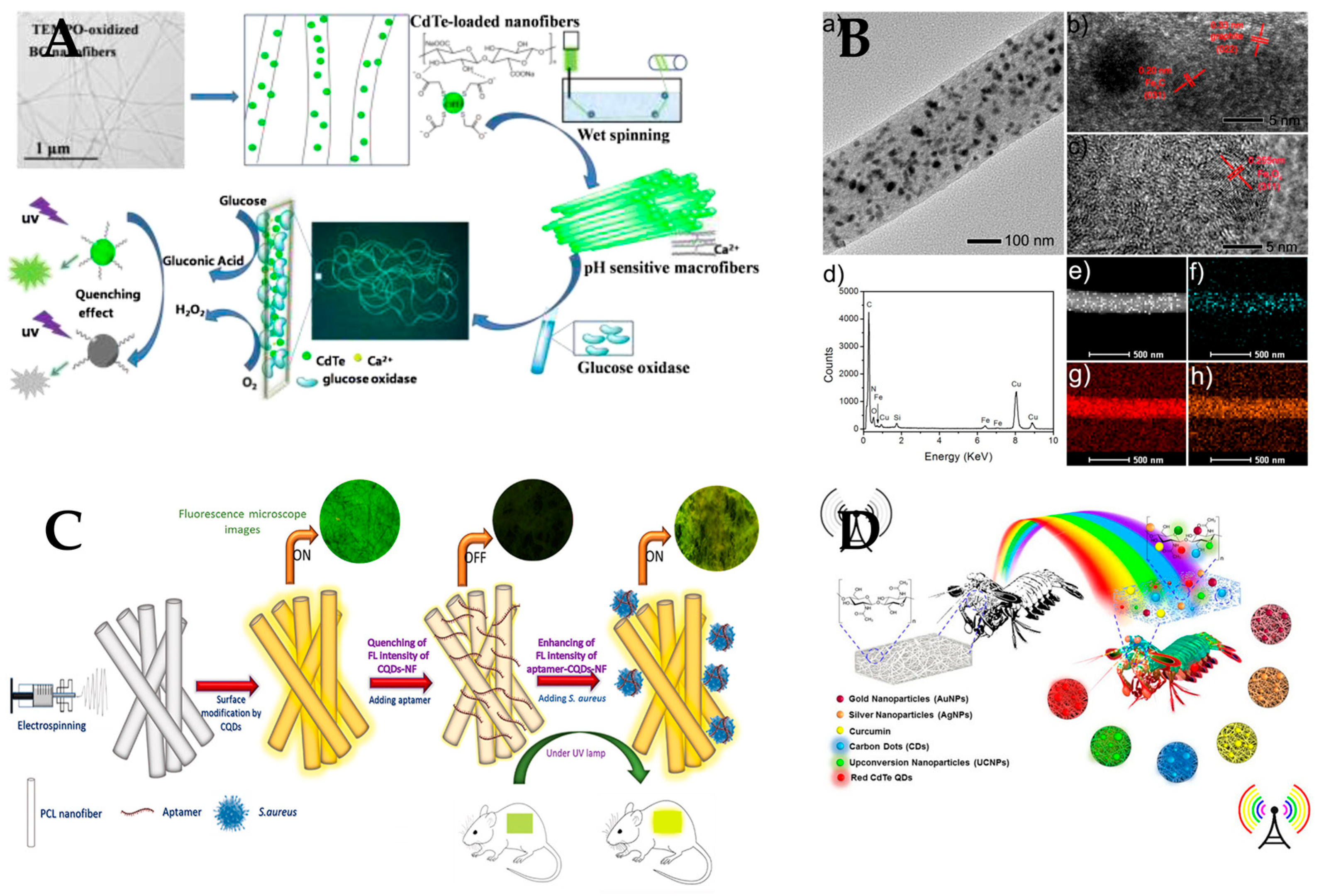 Polymers 15 03616 g015