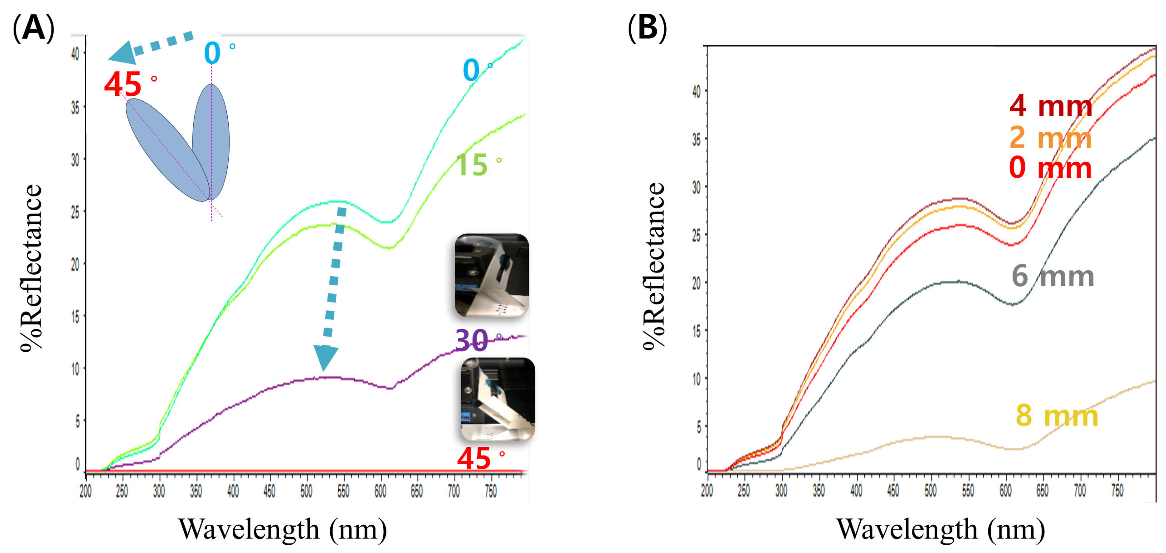 Polymers 15 03627 g003