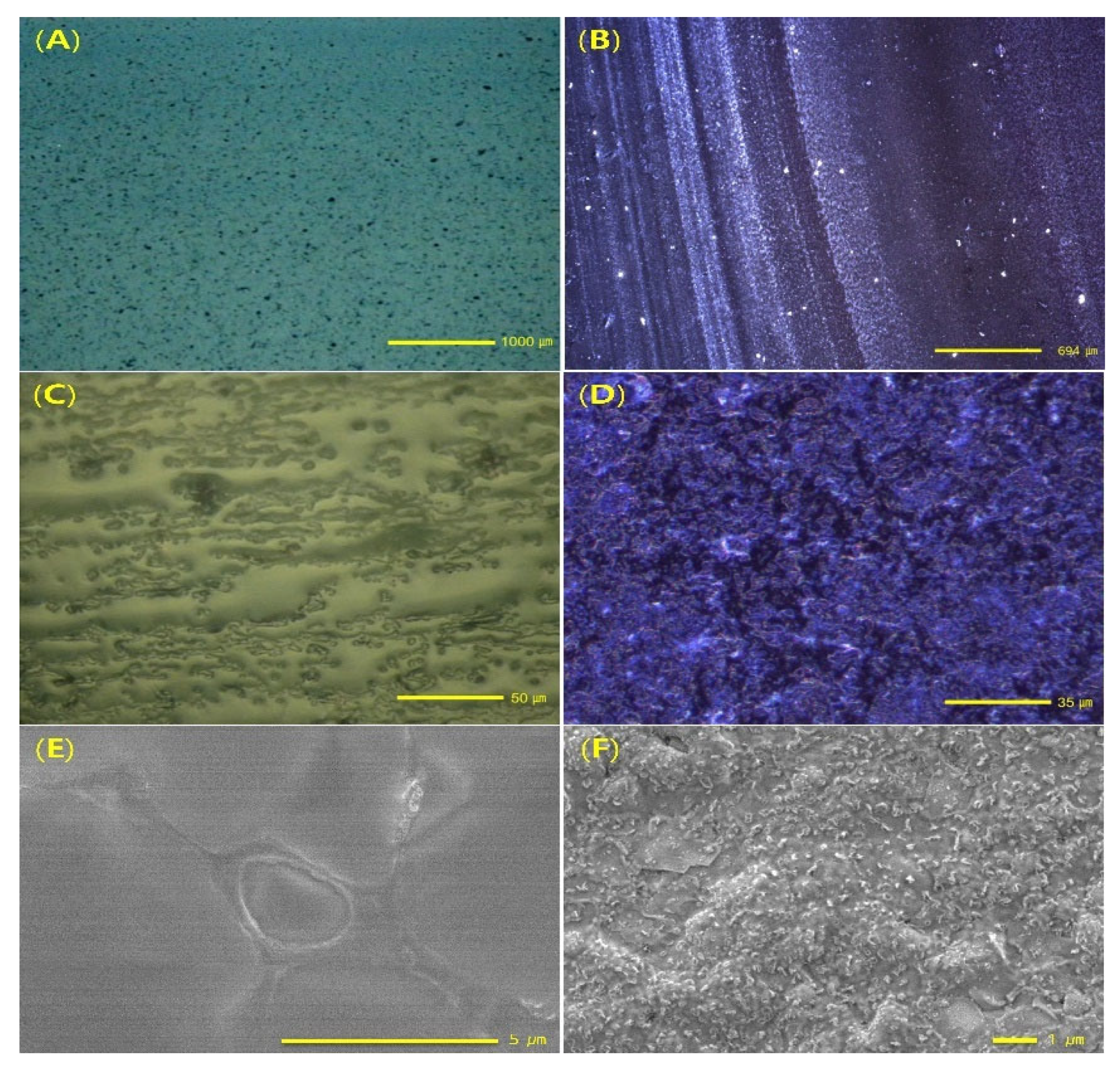 Polymers 15 03627 g005
