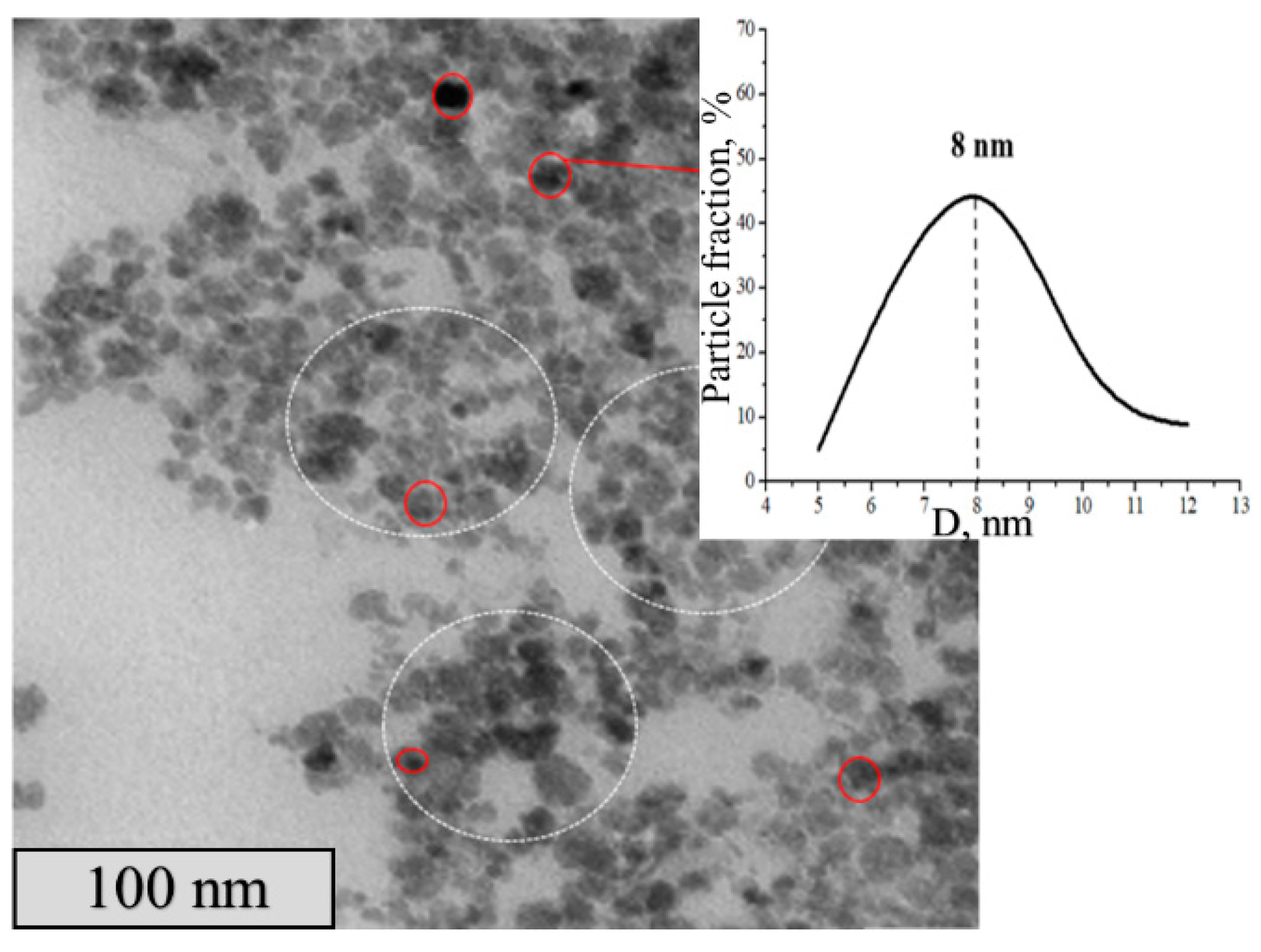 Polymers 15 03644 g003