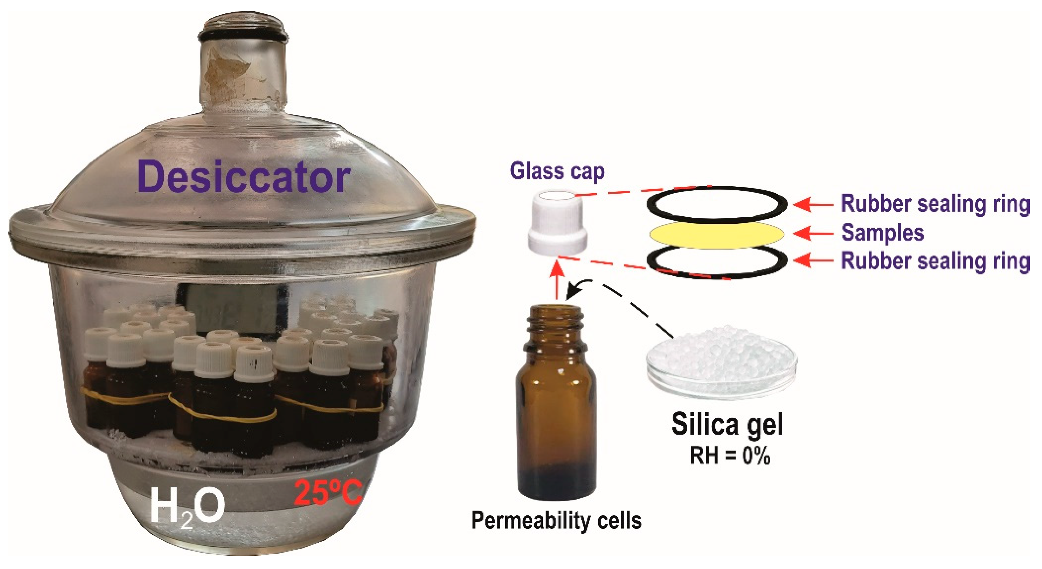 Polymers 15 03646 g001