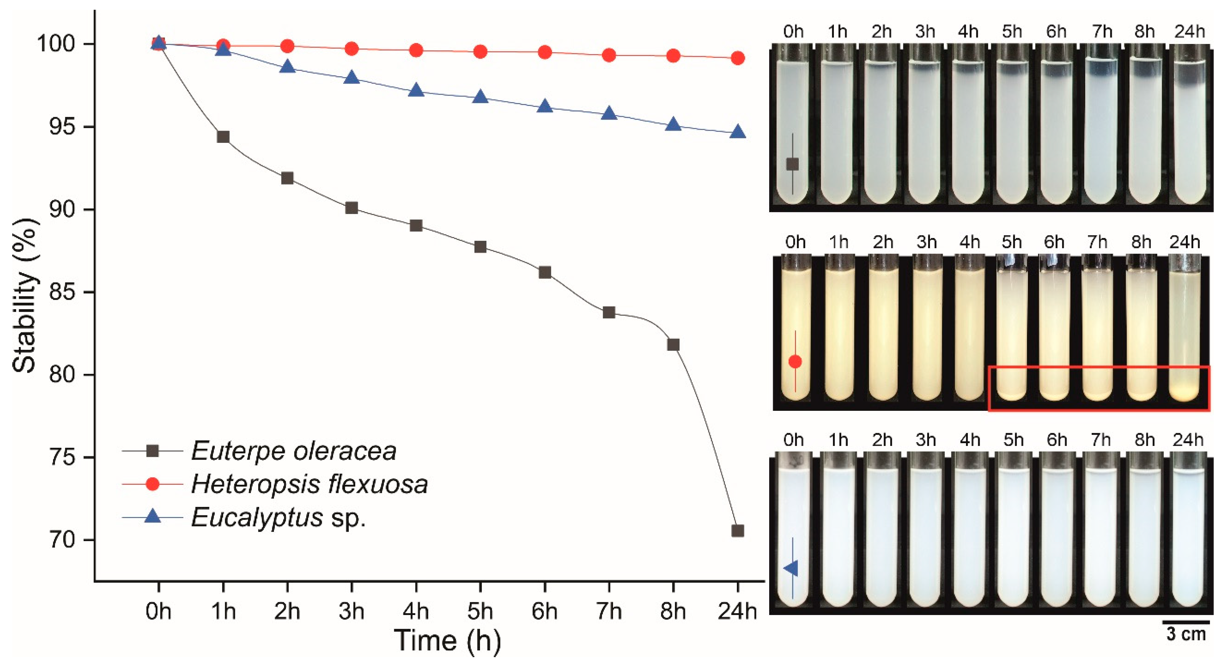 Polymers 15 03646 g005
