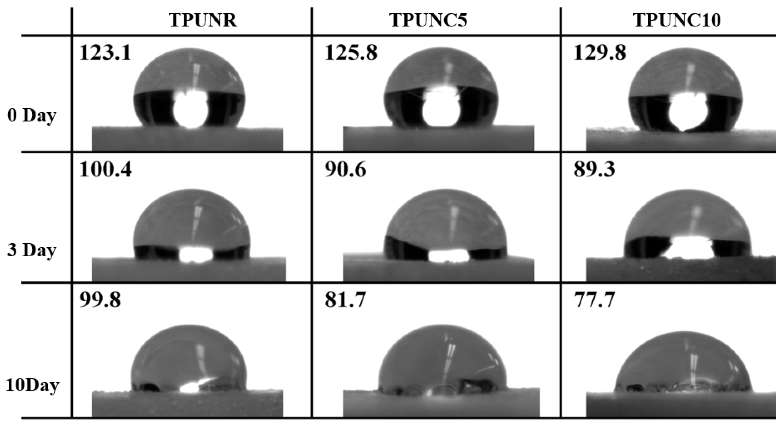 Polymers 15 03647 g004 Polymers 15 03647 g004