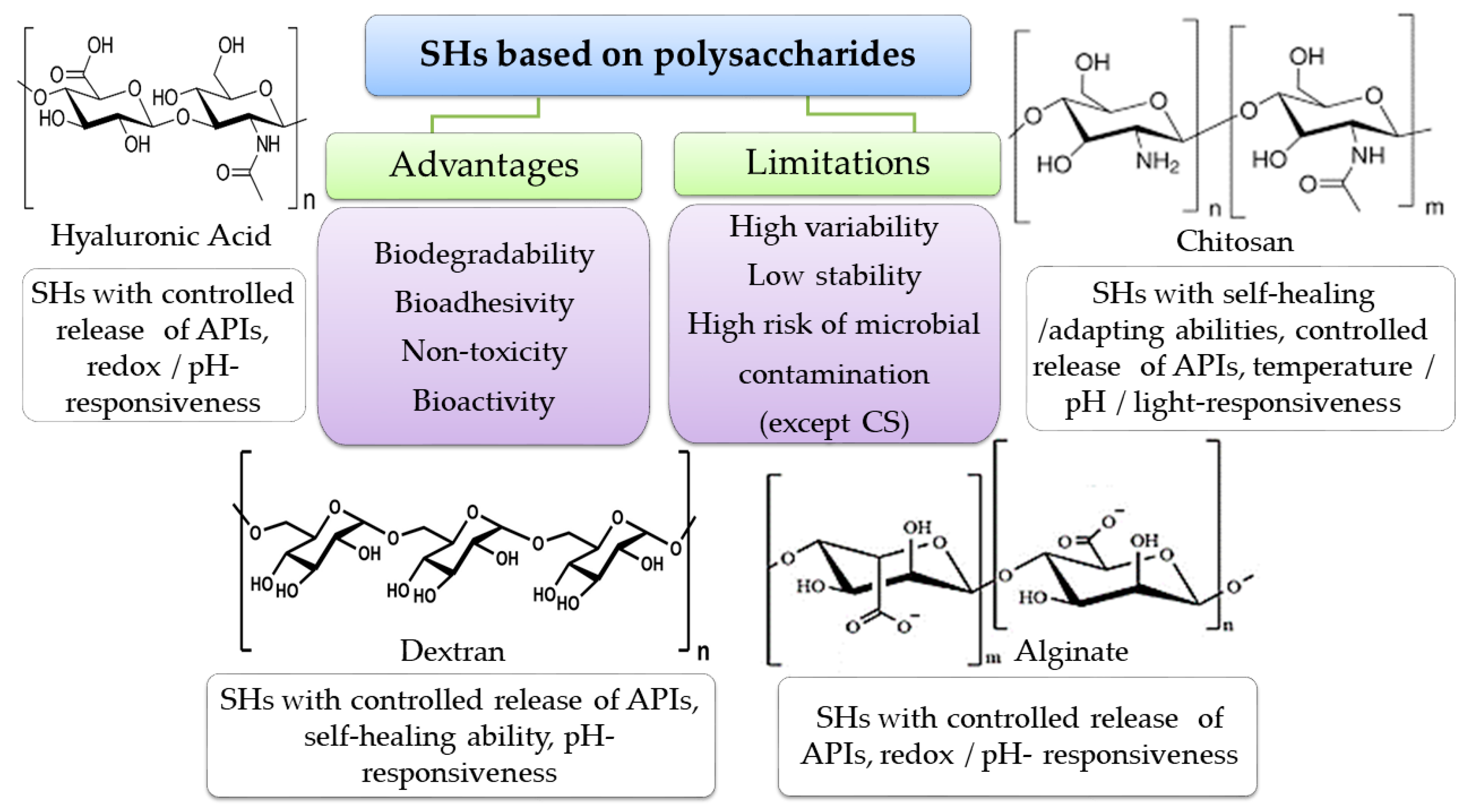 Polymers 15 03648 g008