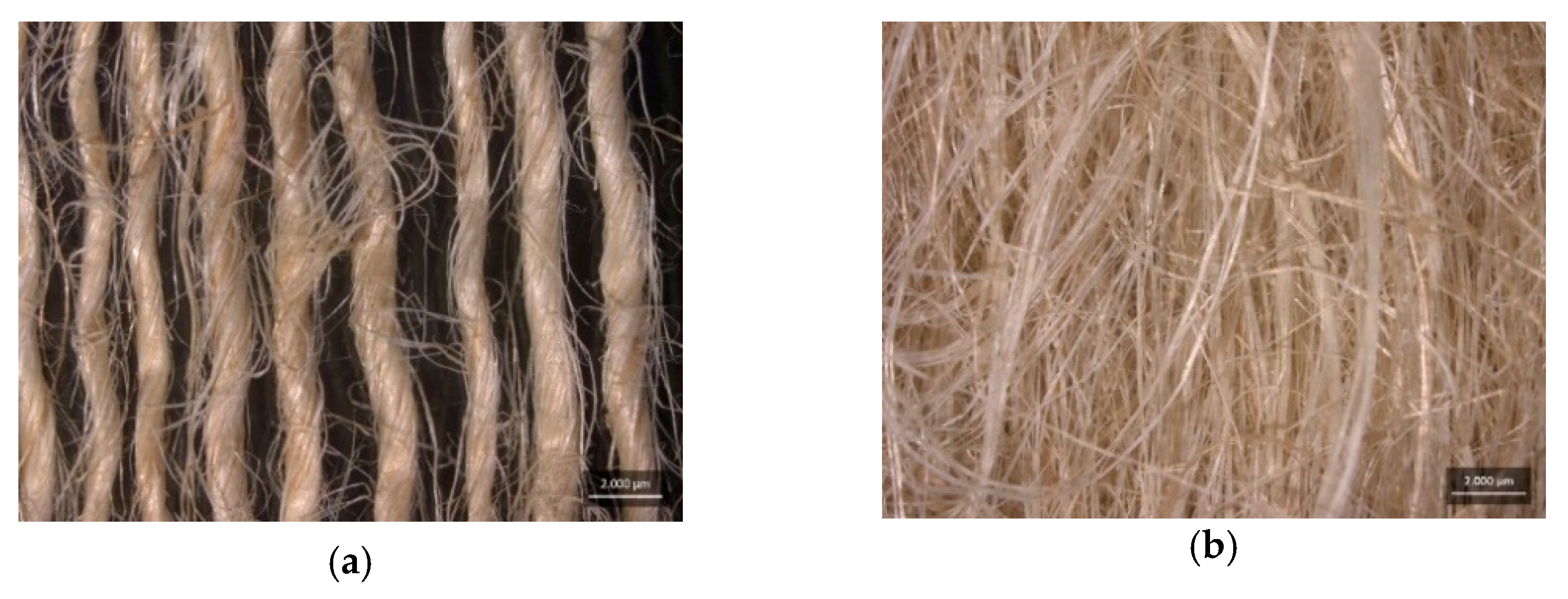 Polymers 15 03682 g002