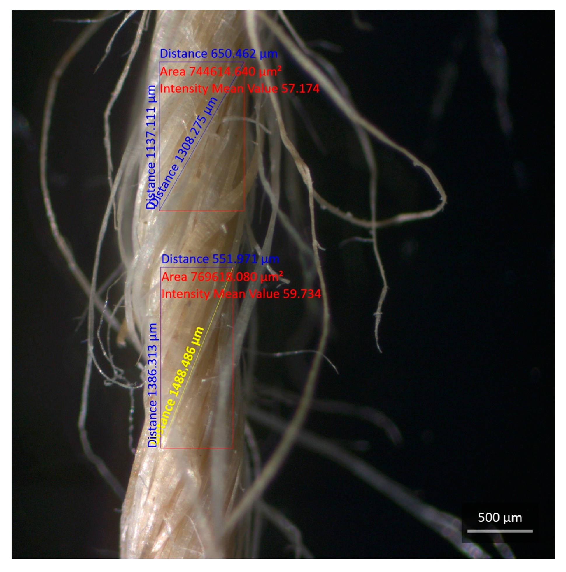 Polymers 15 03682 g007