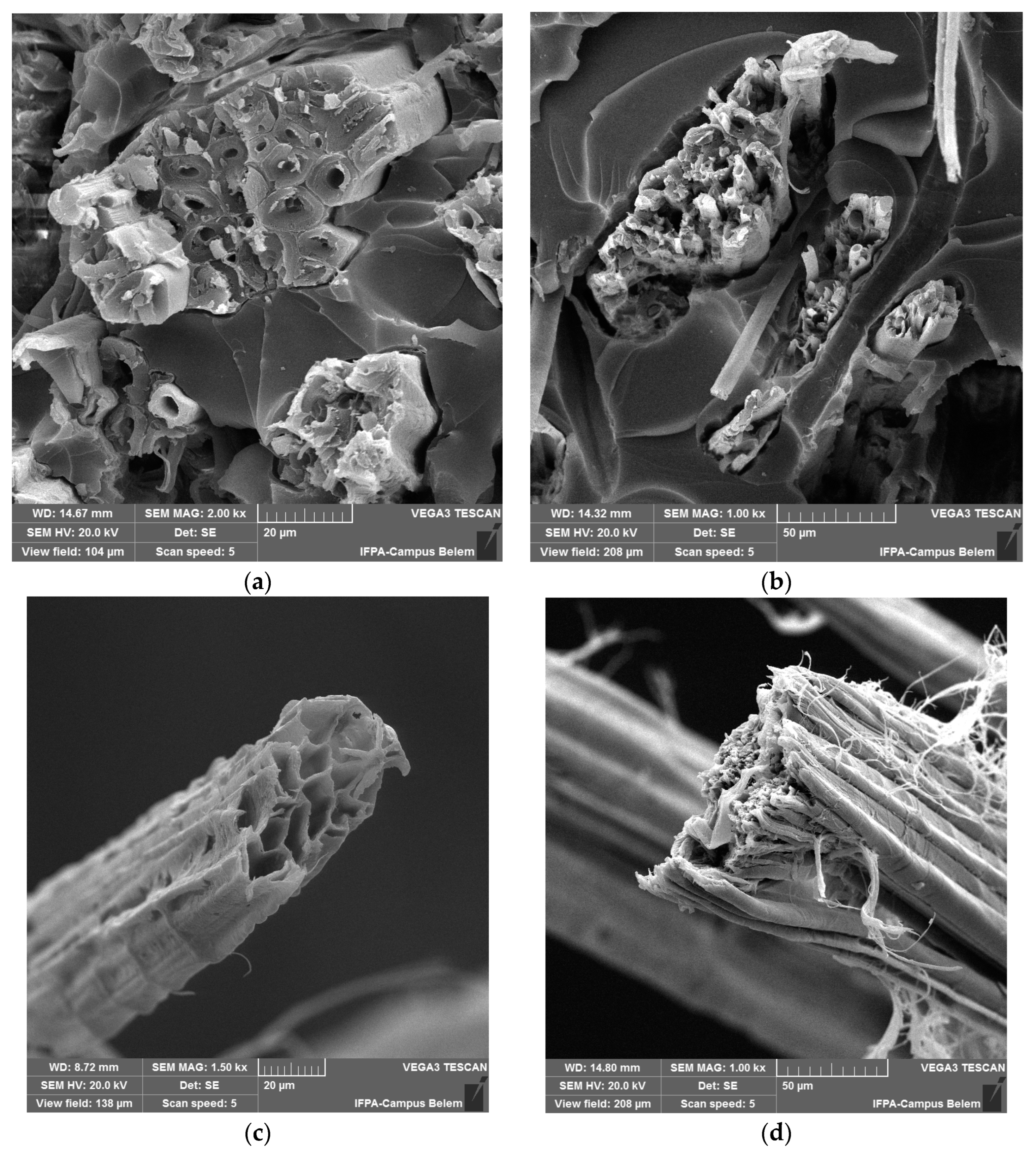 Polymers 15 03682 g010
