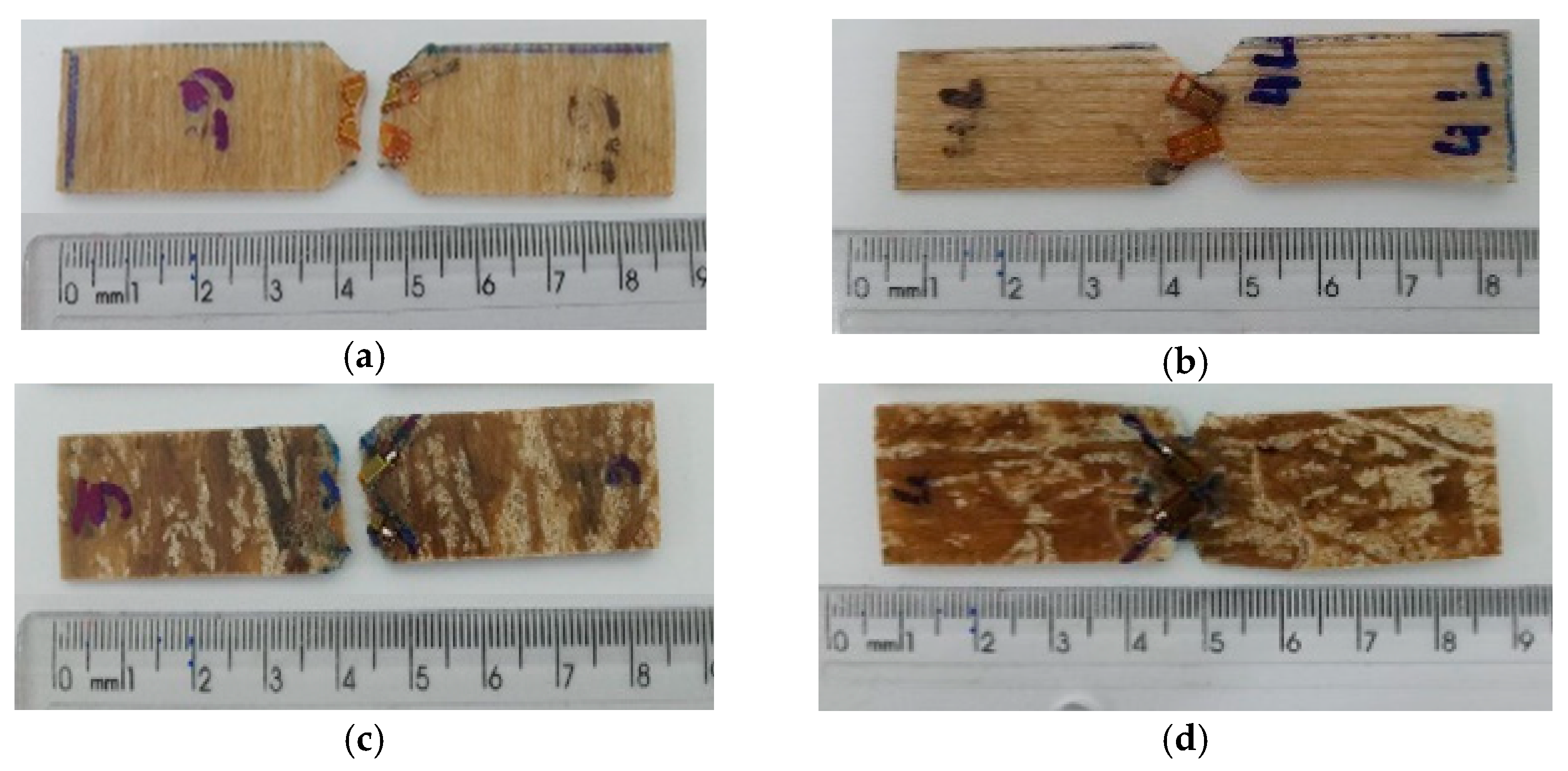 Polymers 15 03682 g011