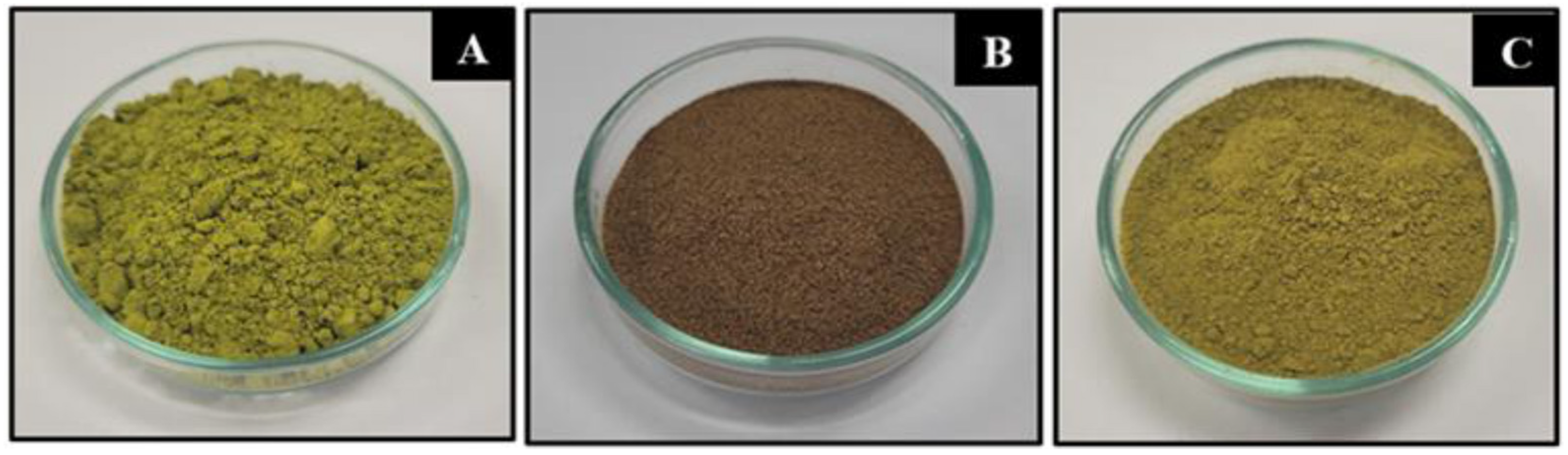 Polymers 15 03698 g001