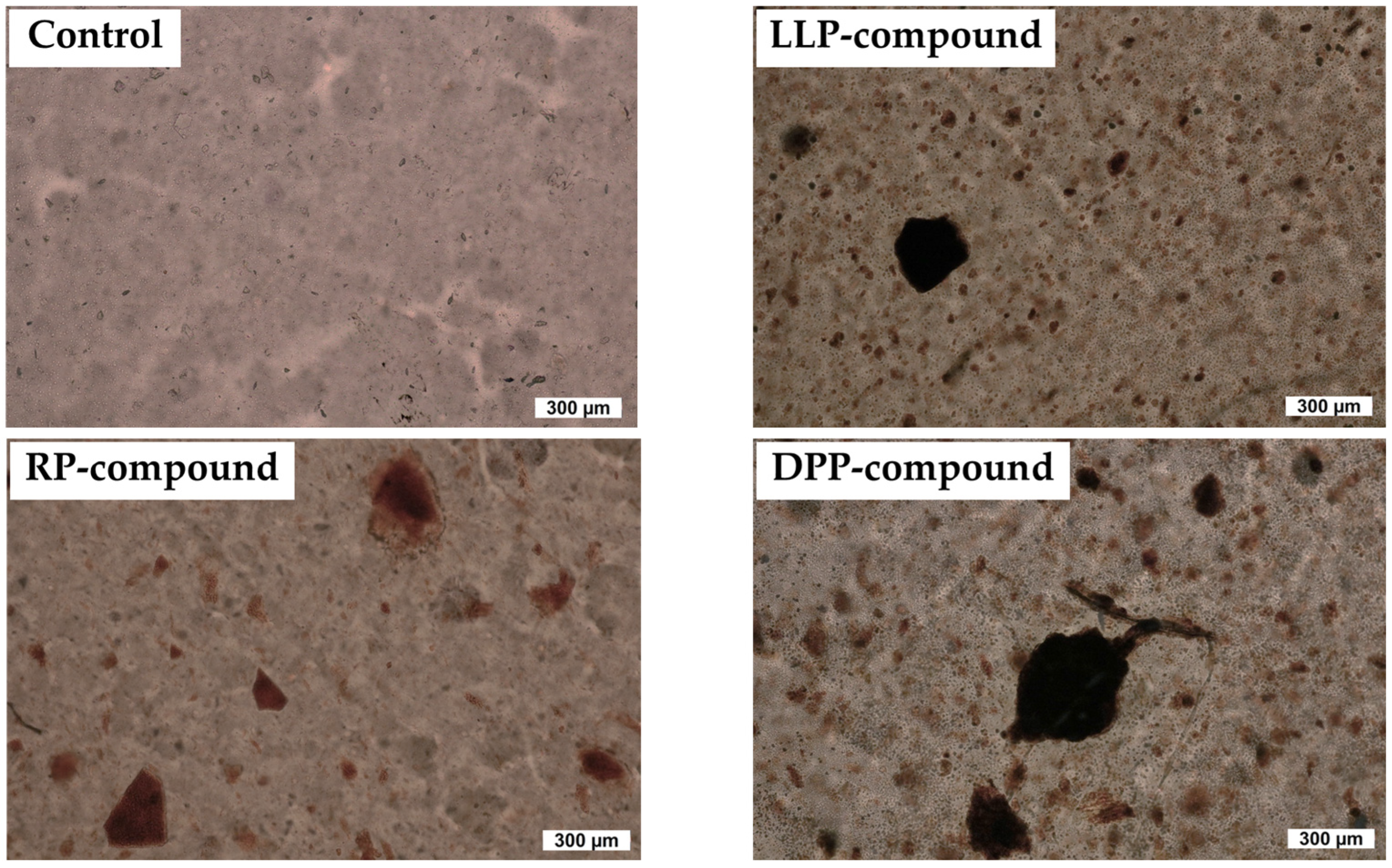 Polymers 15 03698 g008