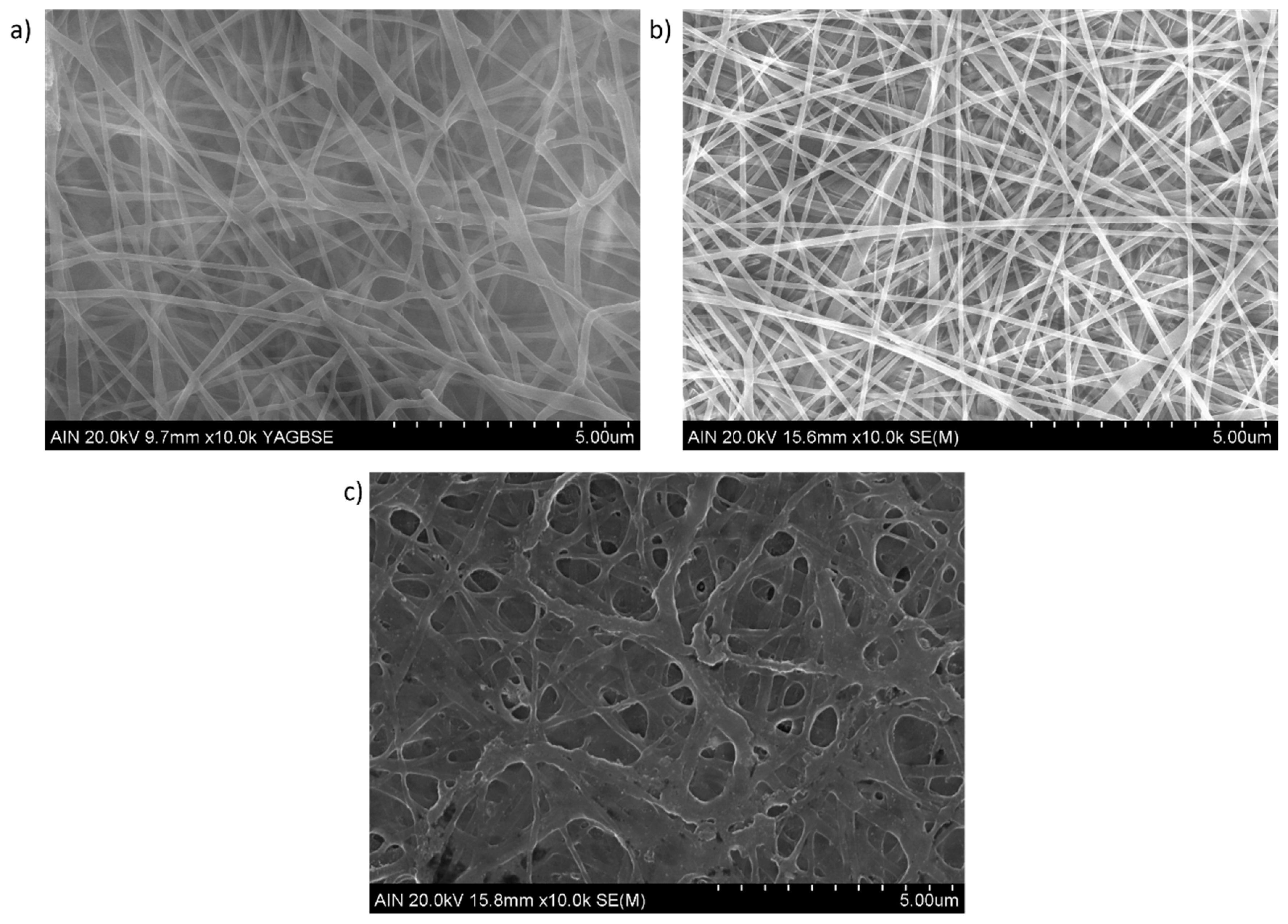 Polymers 15 03700 g004