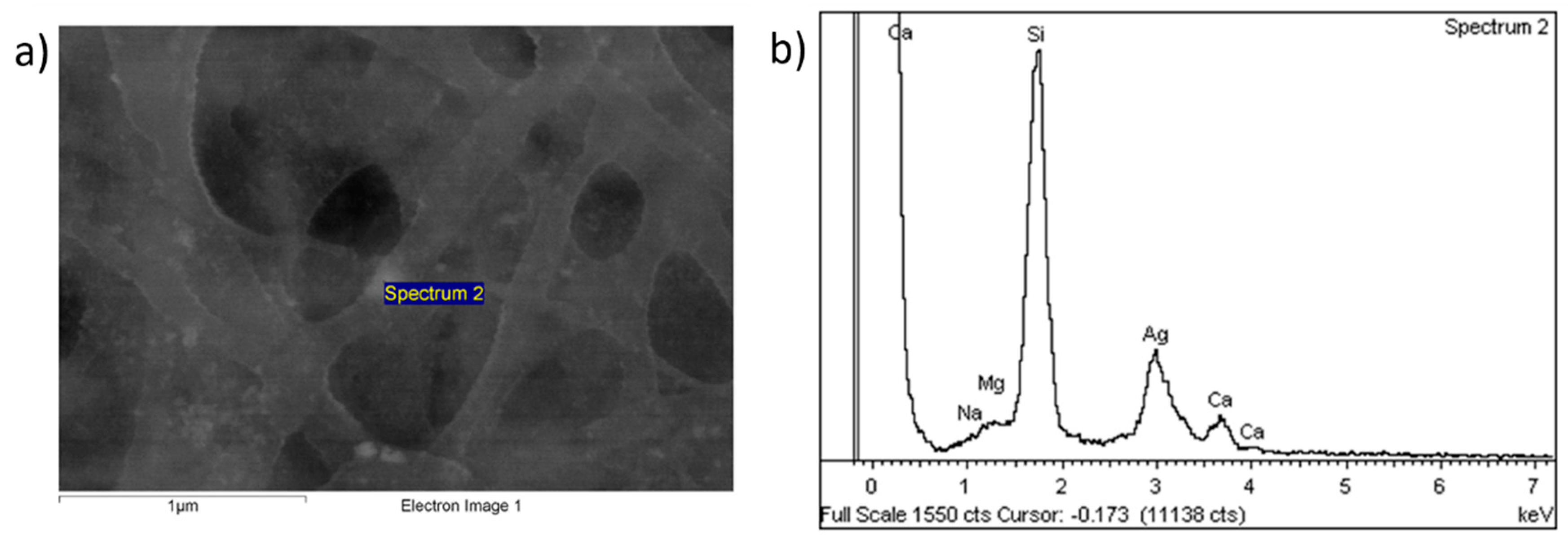 Polymers 15 03700 g007