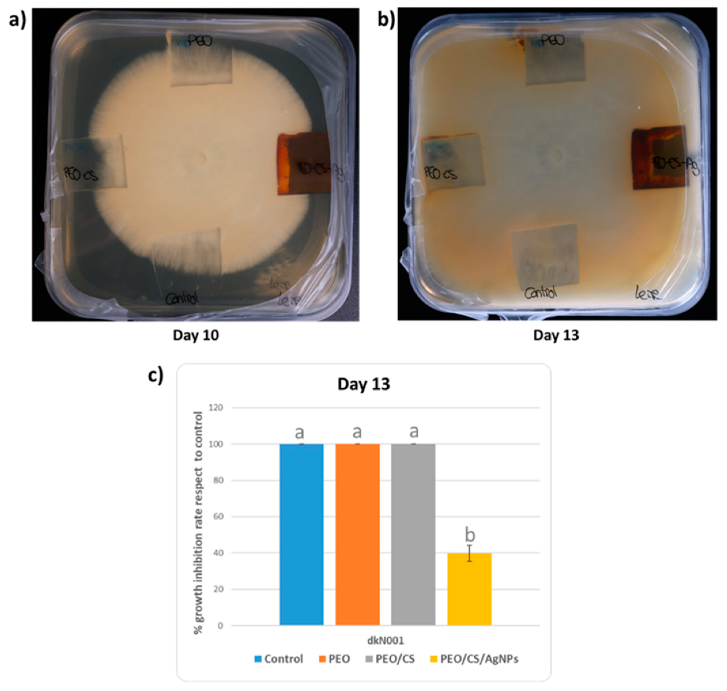 Polymers 15 03700 g013