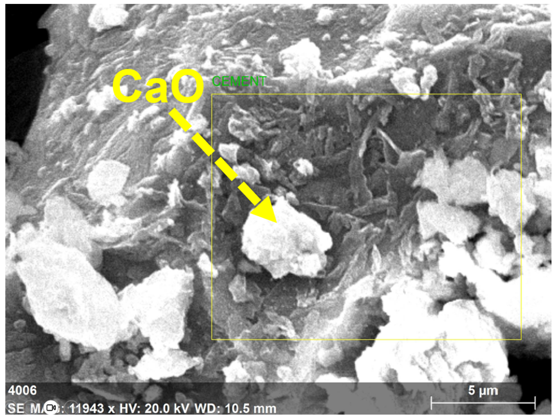 Polymers 15 03720 g005