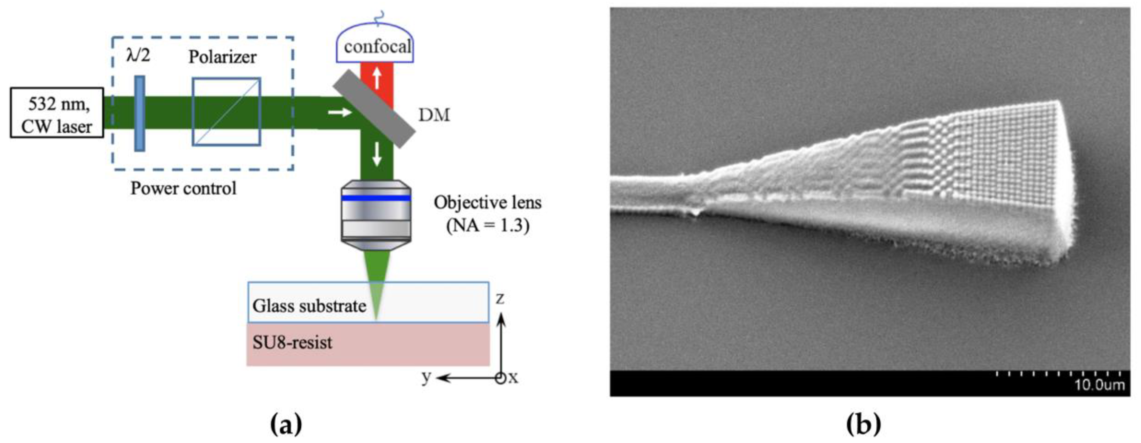 Polymers 15 03721 g014