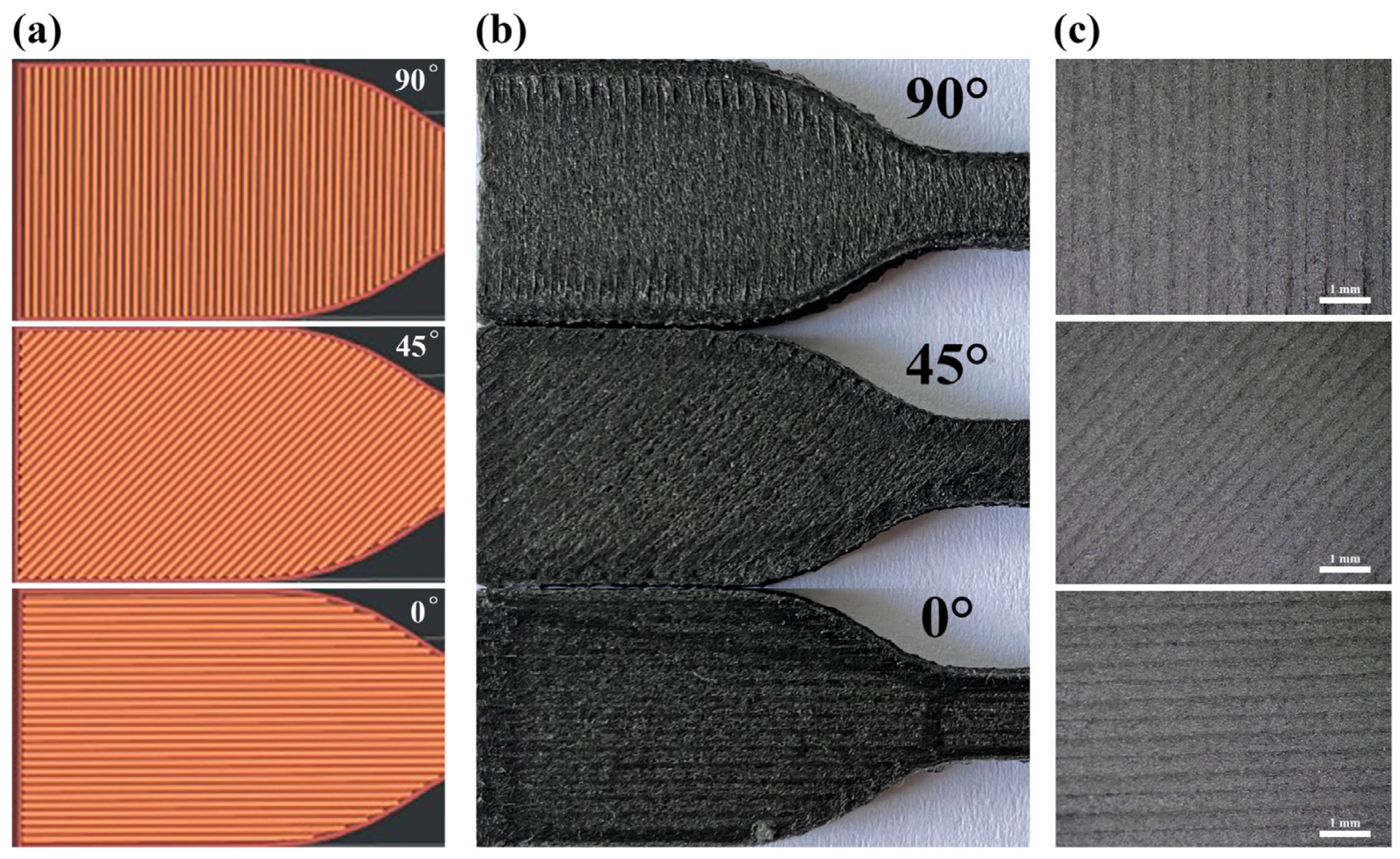 Polymers 15 03722 g005