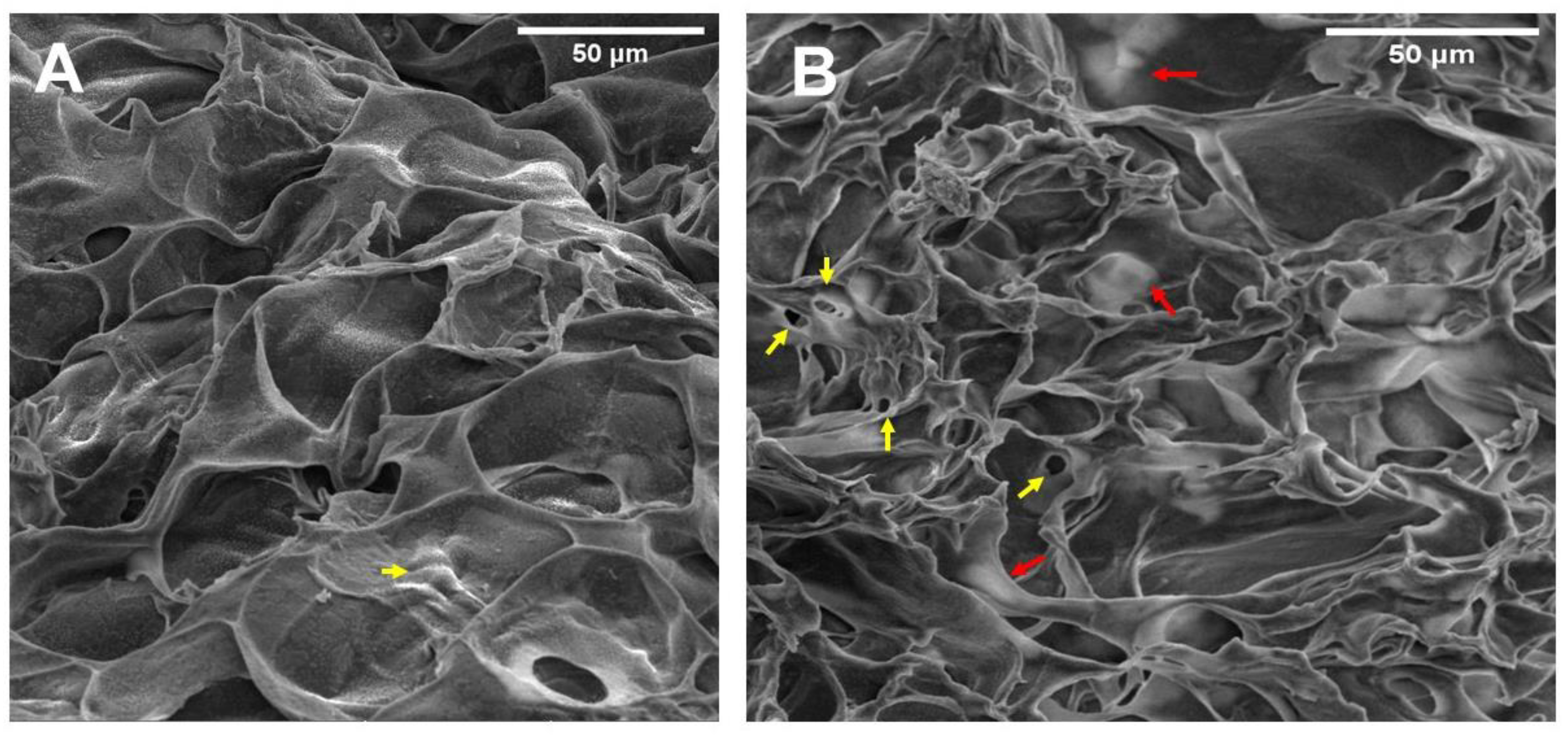 Polymers 15 03726 g006