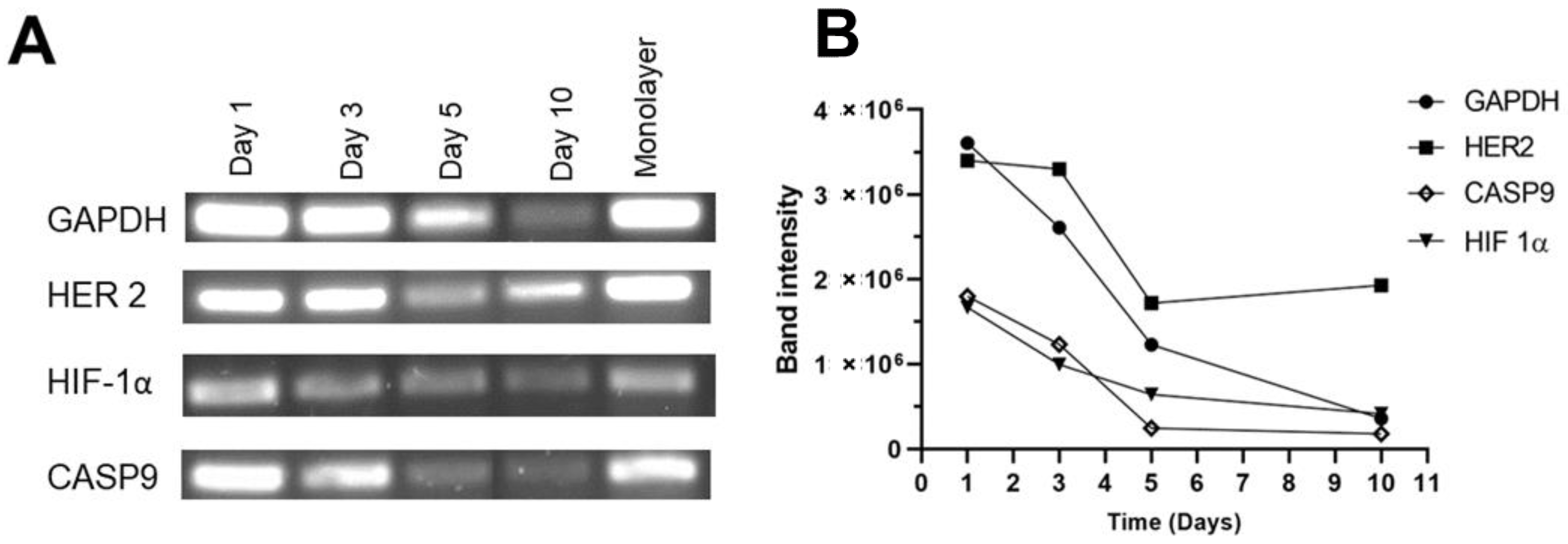 Polymers 15 03726 g010