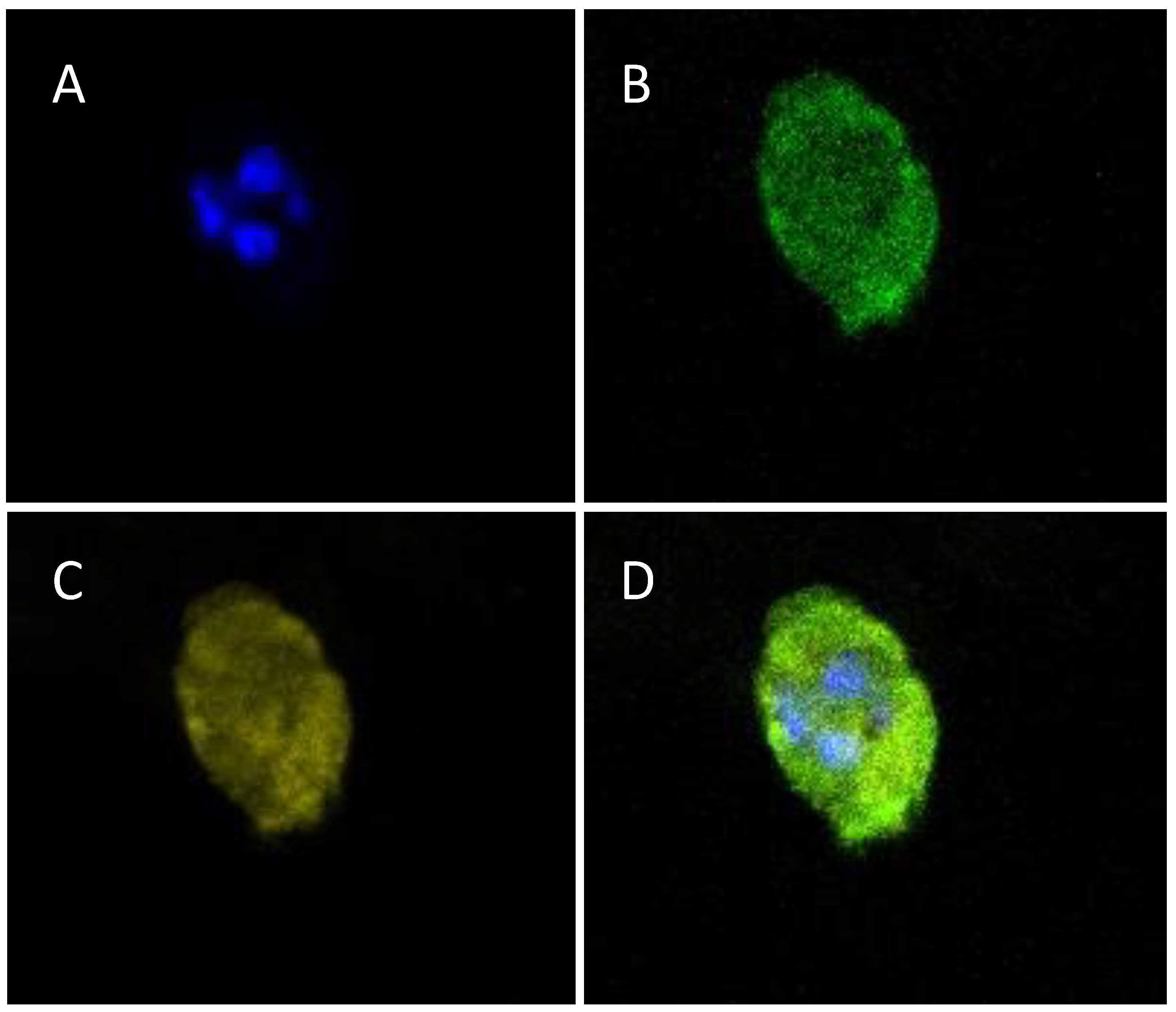 Polymers 15 03726 g011