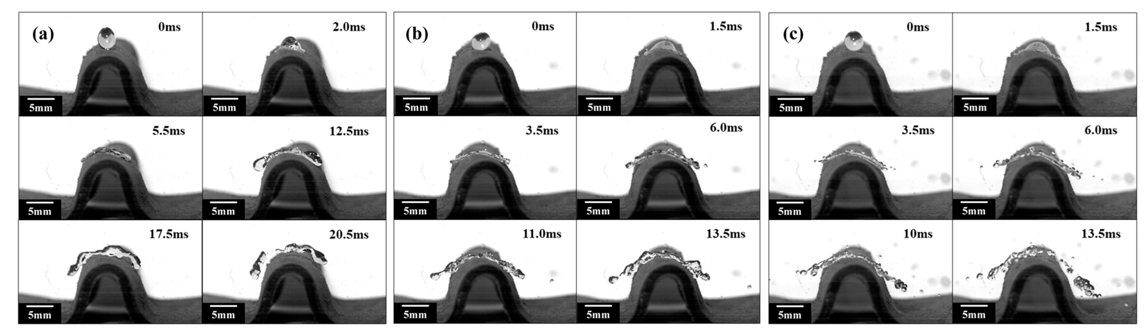 Polymers 15 03738 g005