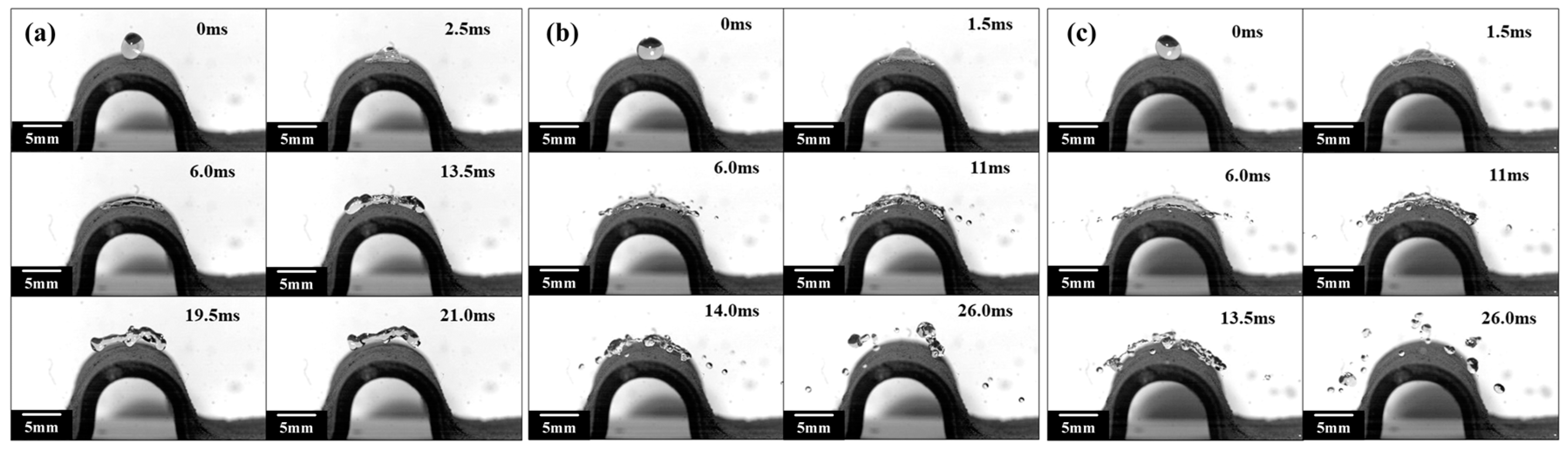 Polymers 15 03738 g006
