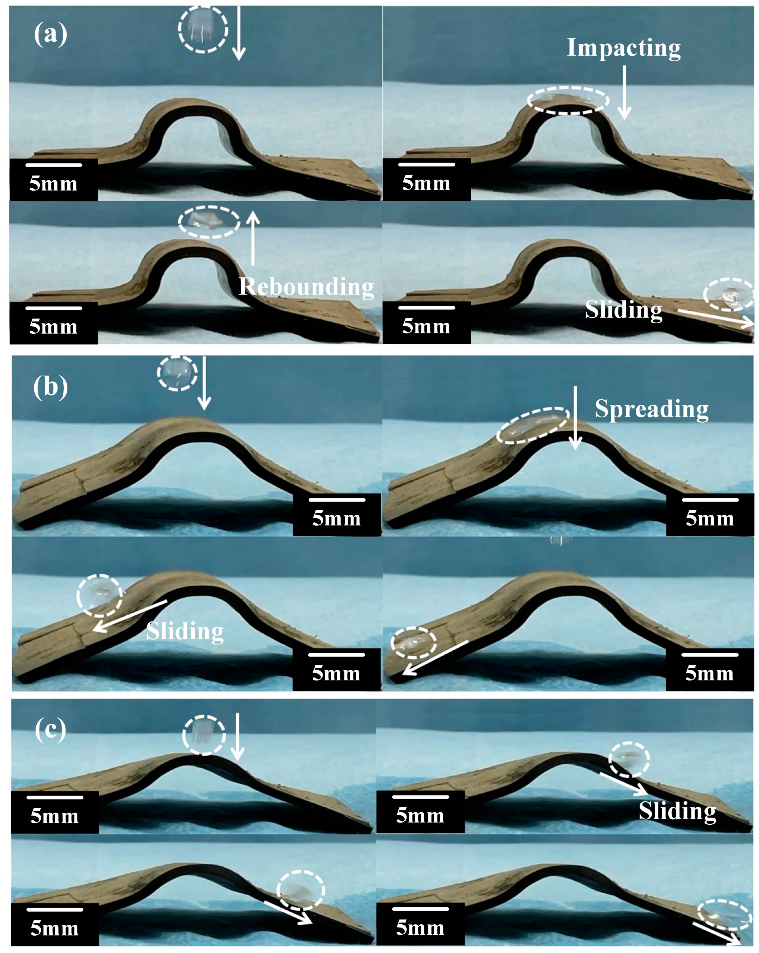 Polymers 15 03738 g008