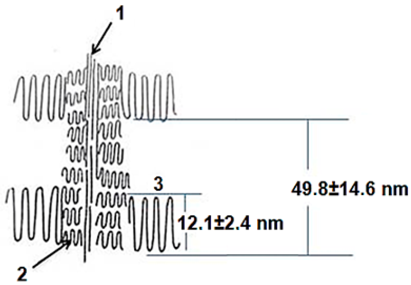 Polymers 15 03742 g003