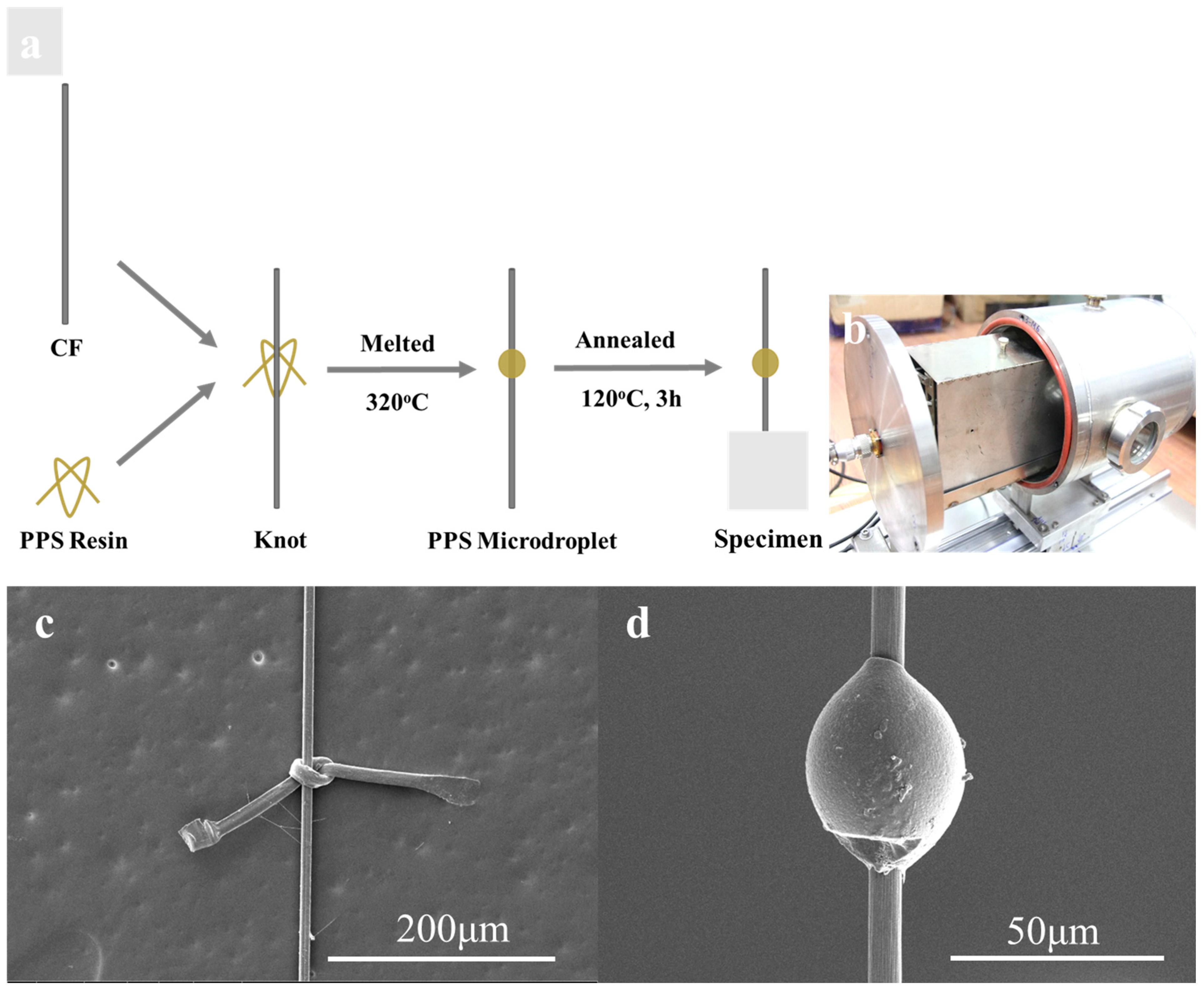 Polymers 15 03749 g002