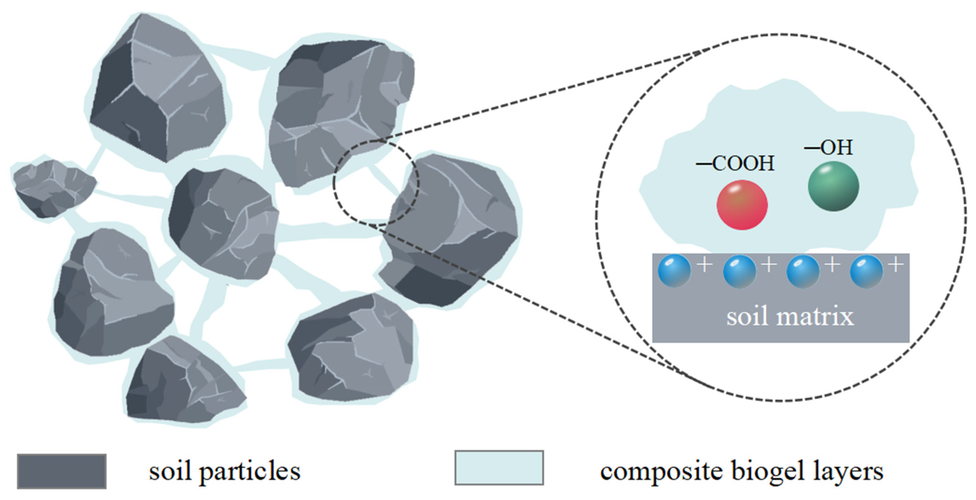 Polymers 15 03763 g012