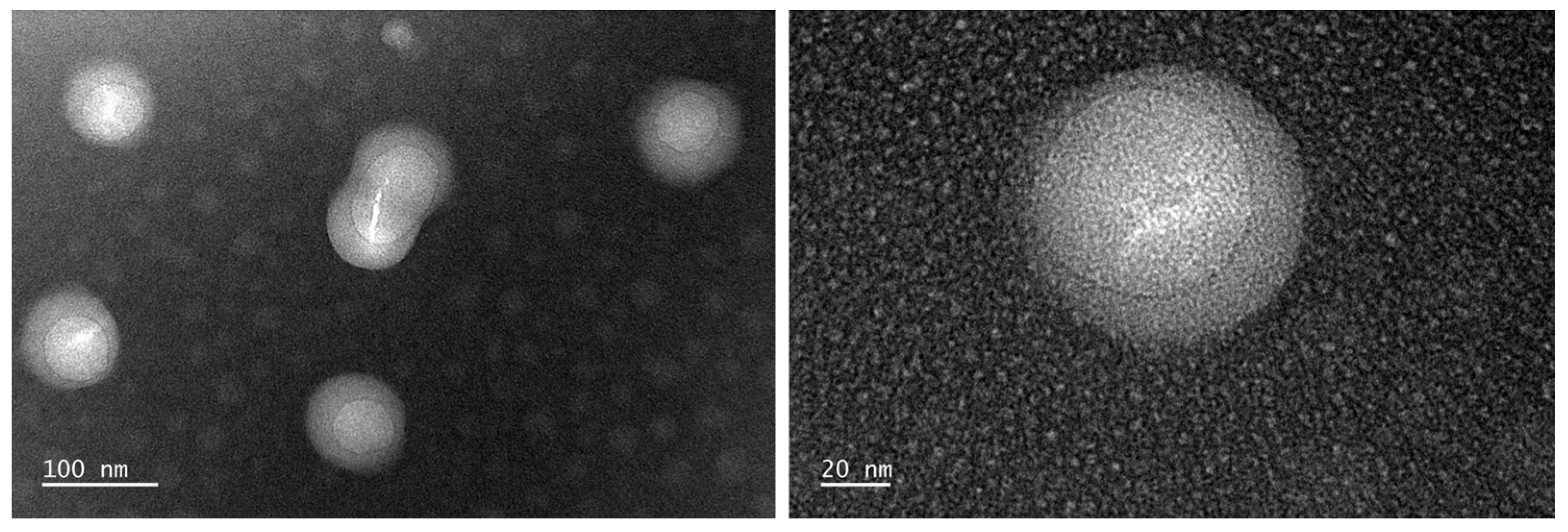 Polymers 15 03765 g003