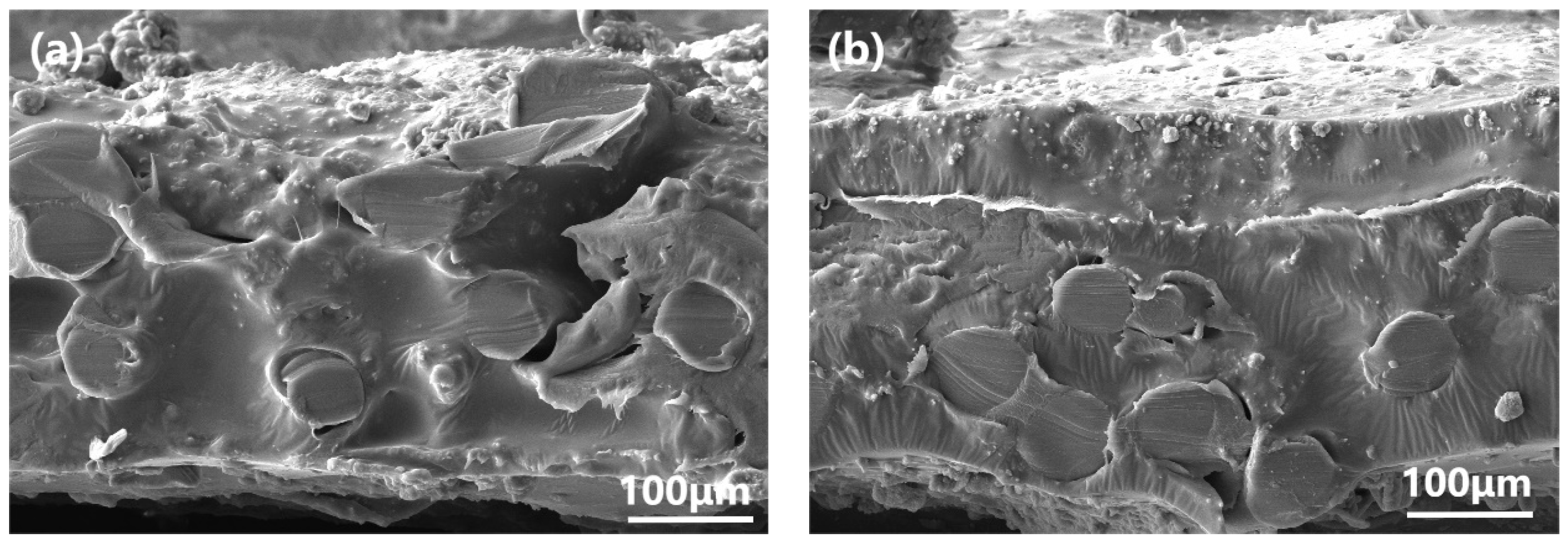 Polymers 15 03777 g008a