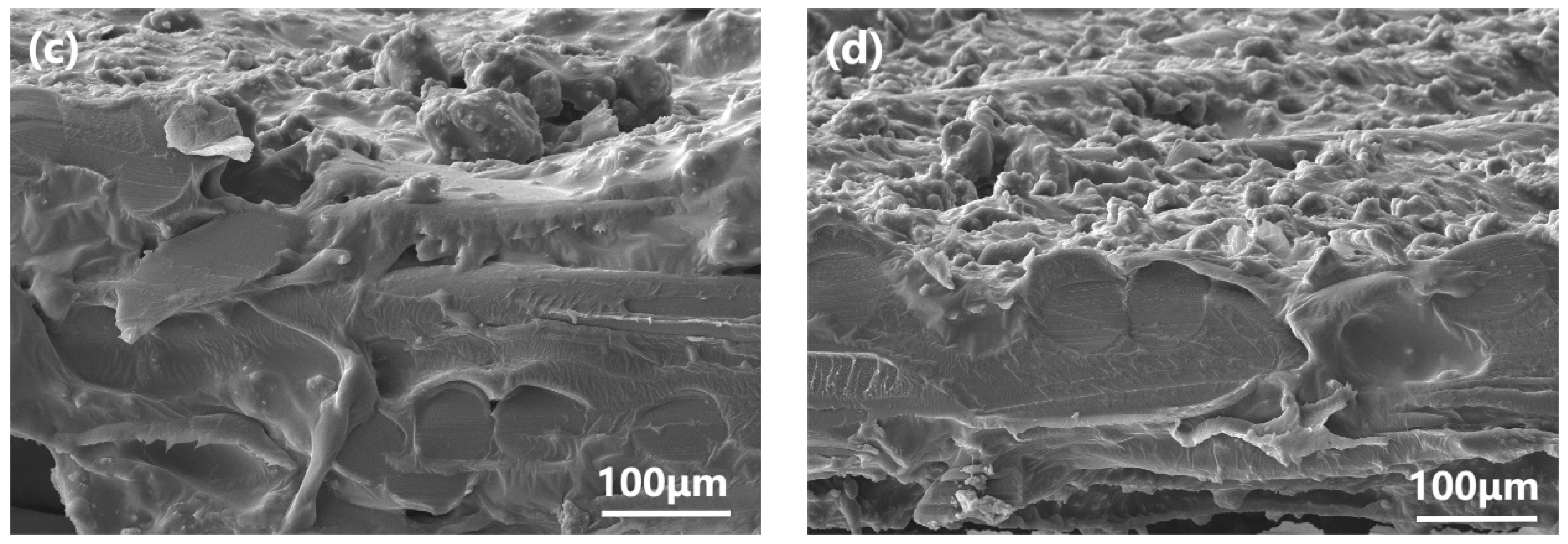 Polymers 15 03777 g008b