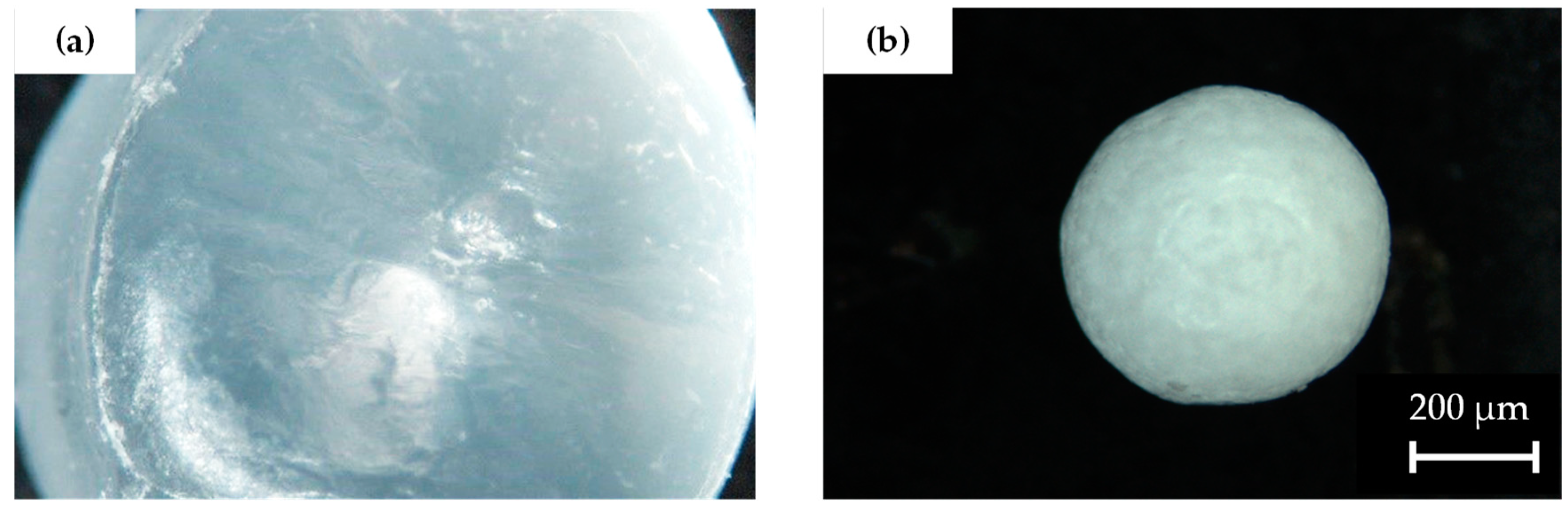 Polymers 15 03779 g005