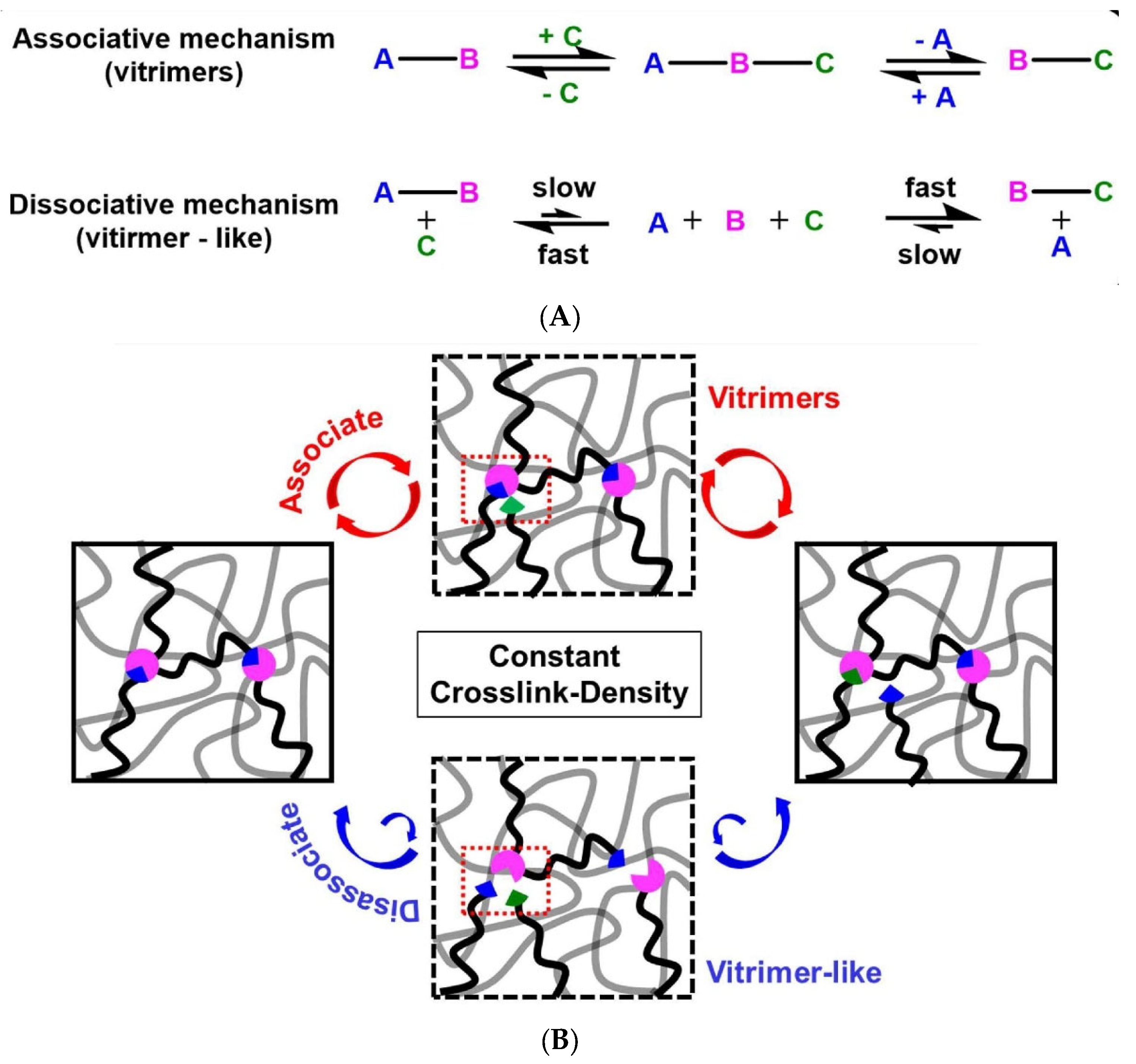 Polymers 15 03780 g003a