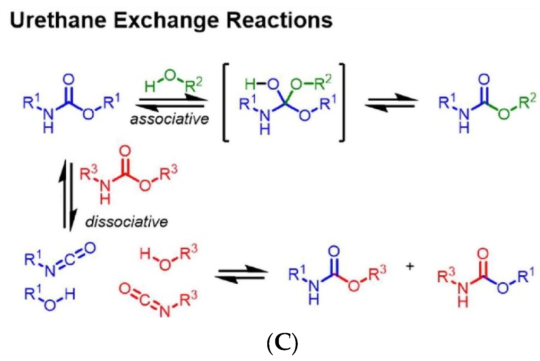 Polymers 15 03780 g003b