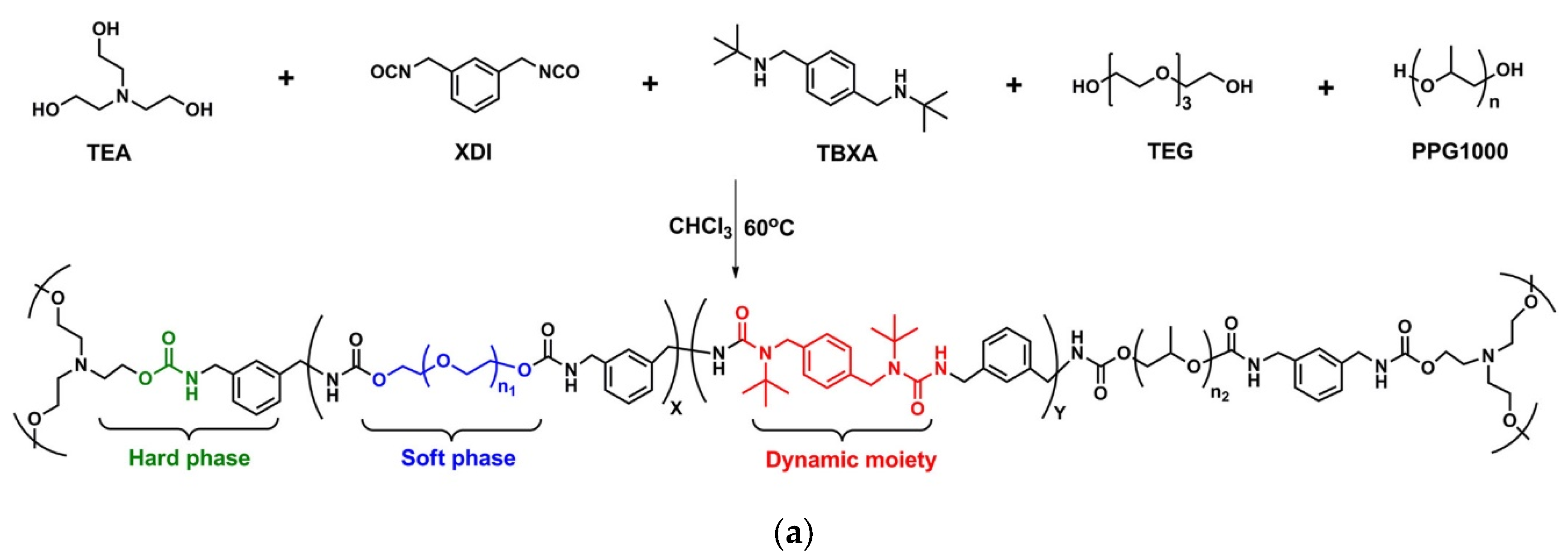 Polymers 15 03780 g010a