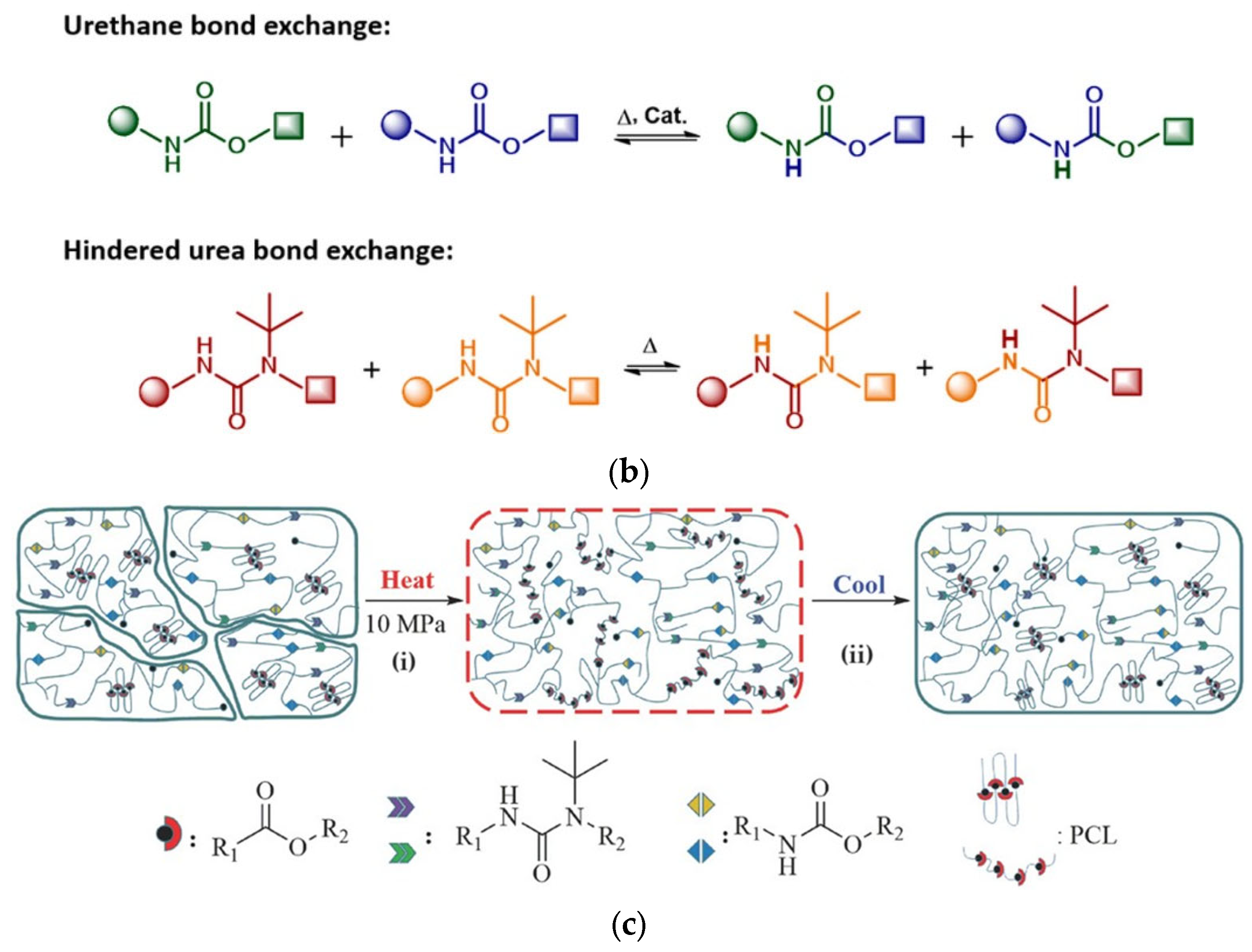 Polymers 15 03780 g010b