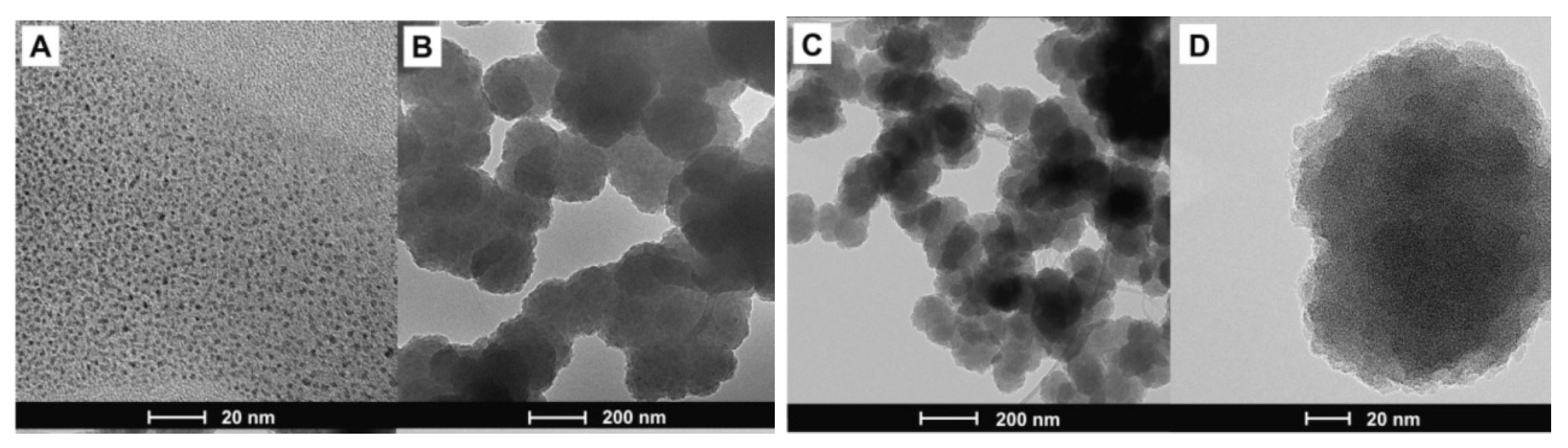 Polymers 15 03783 g018