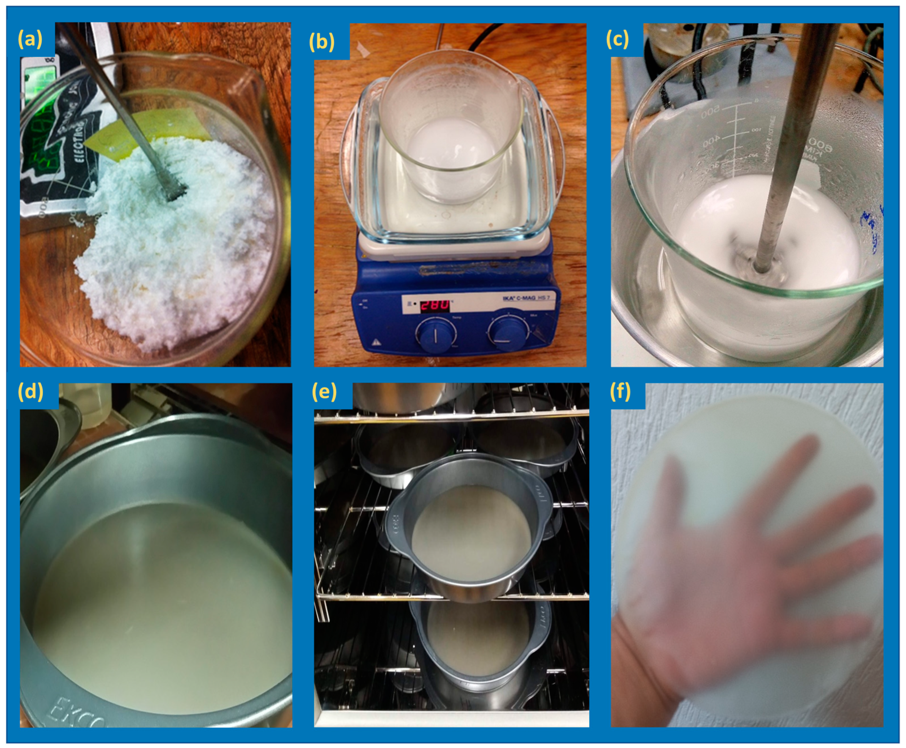 Polymers Free Full Text Thermoplastic Starch Biocomposite