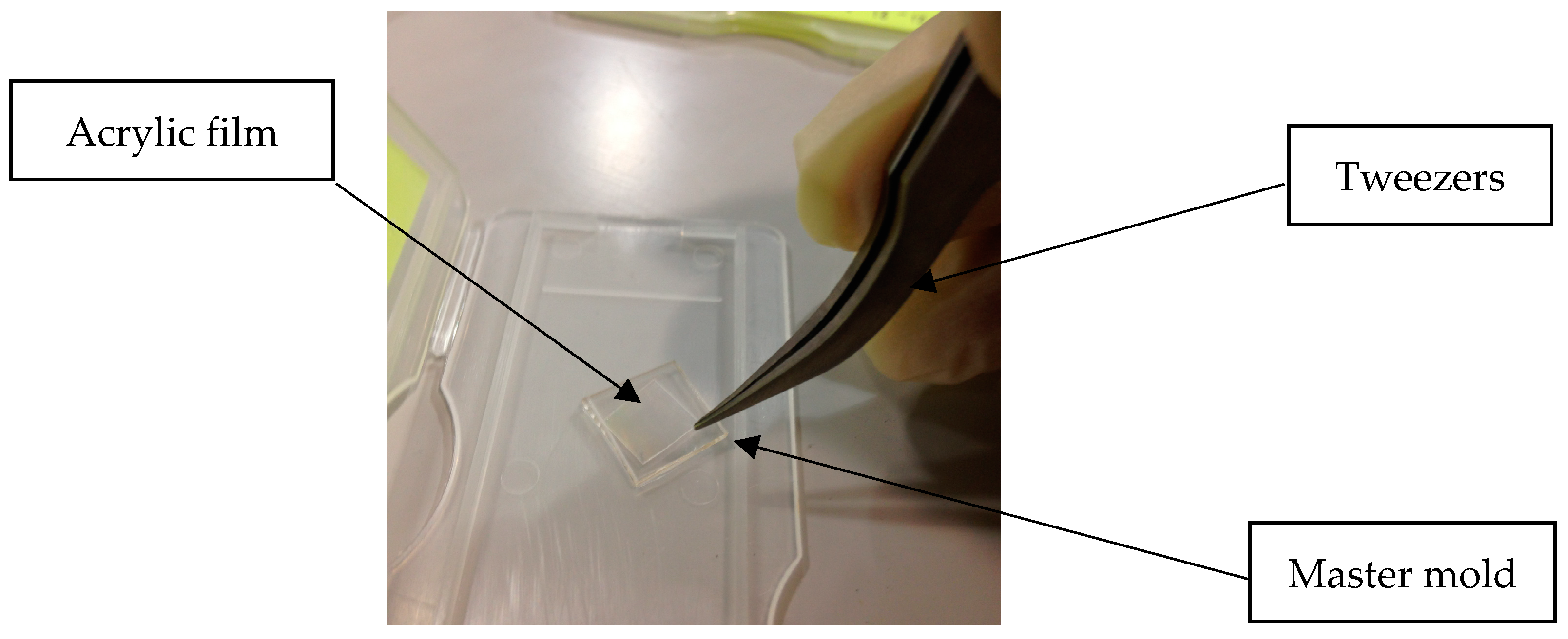 Polymers 15 03804 g010