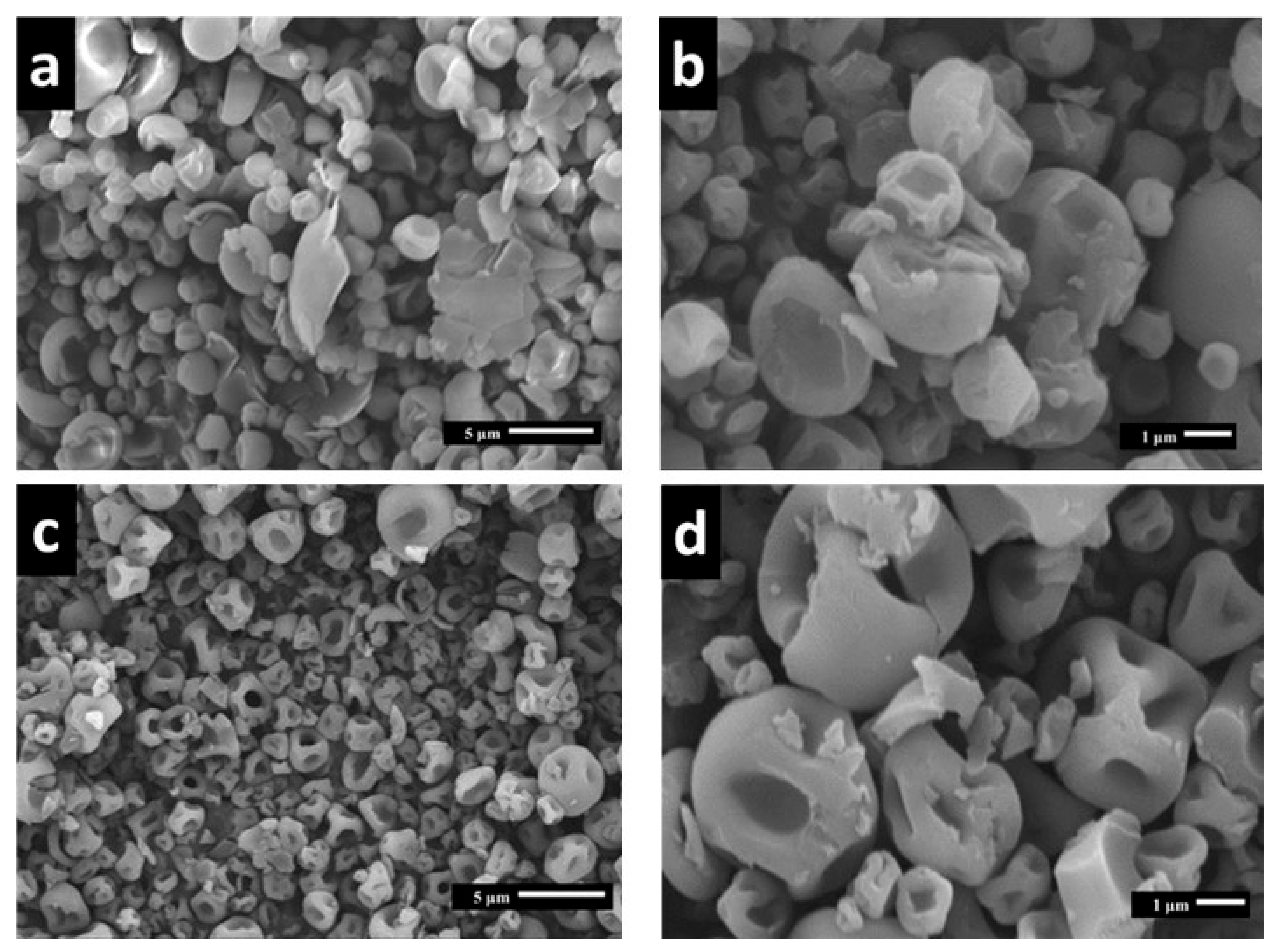 Polymers 15 03823 g003