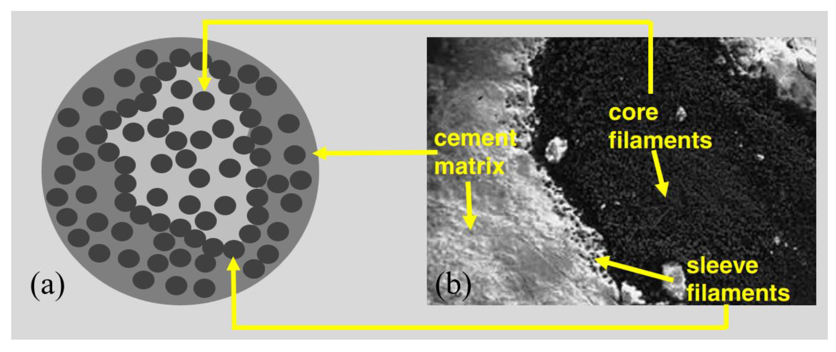 Polymers 15 03826 g010