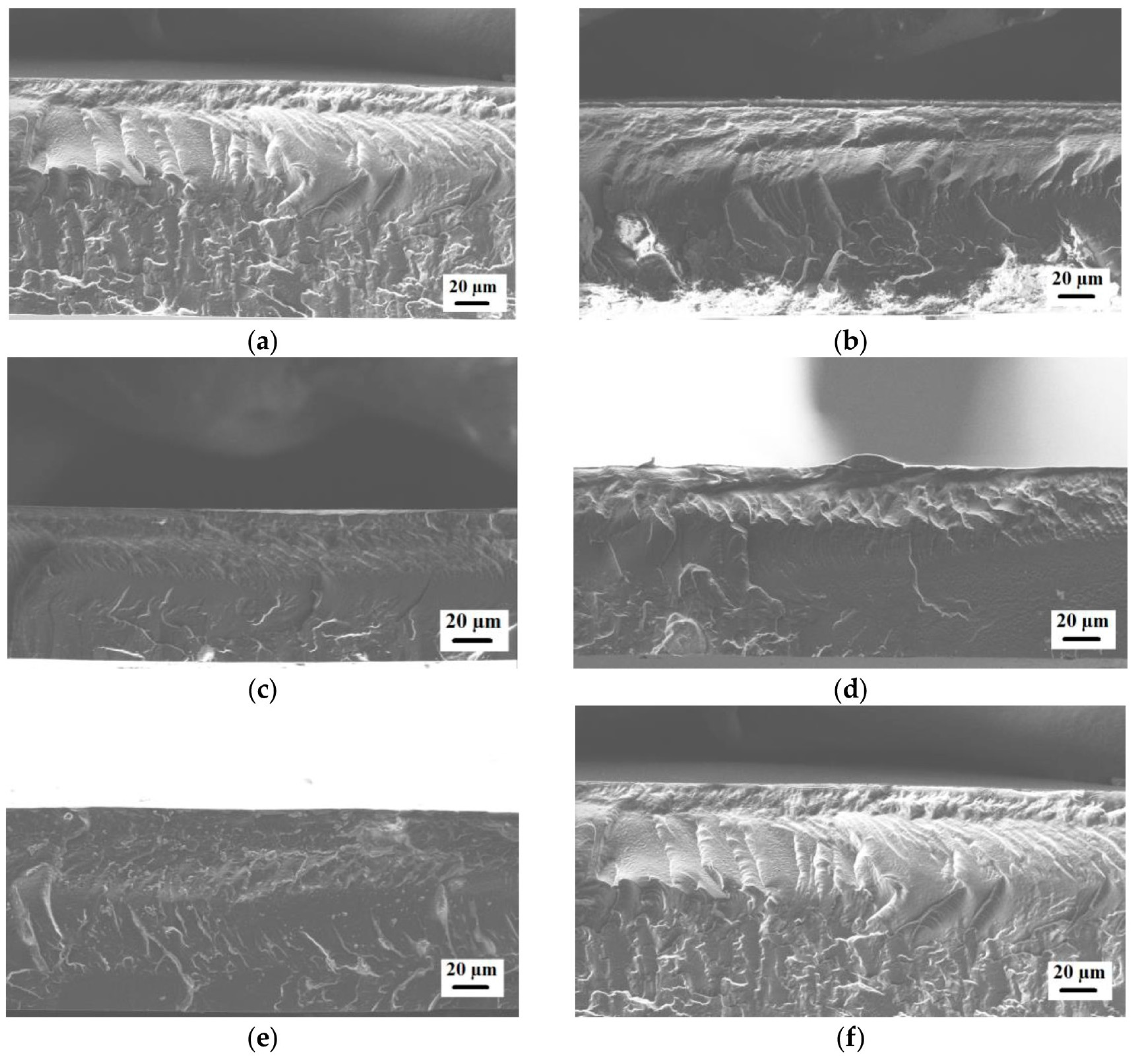Polymers 15 03834 g008