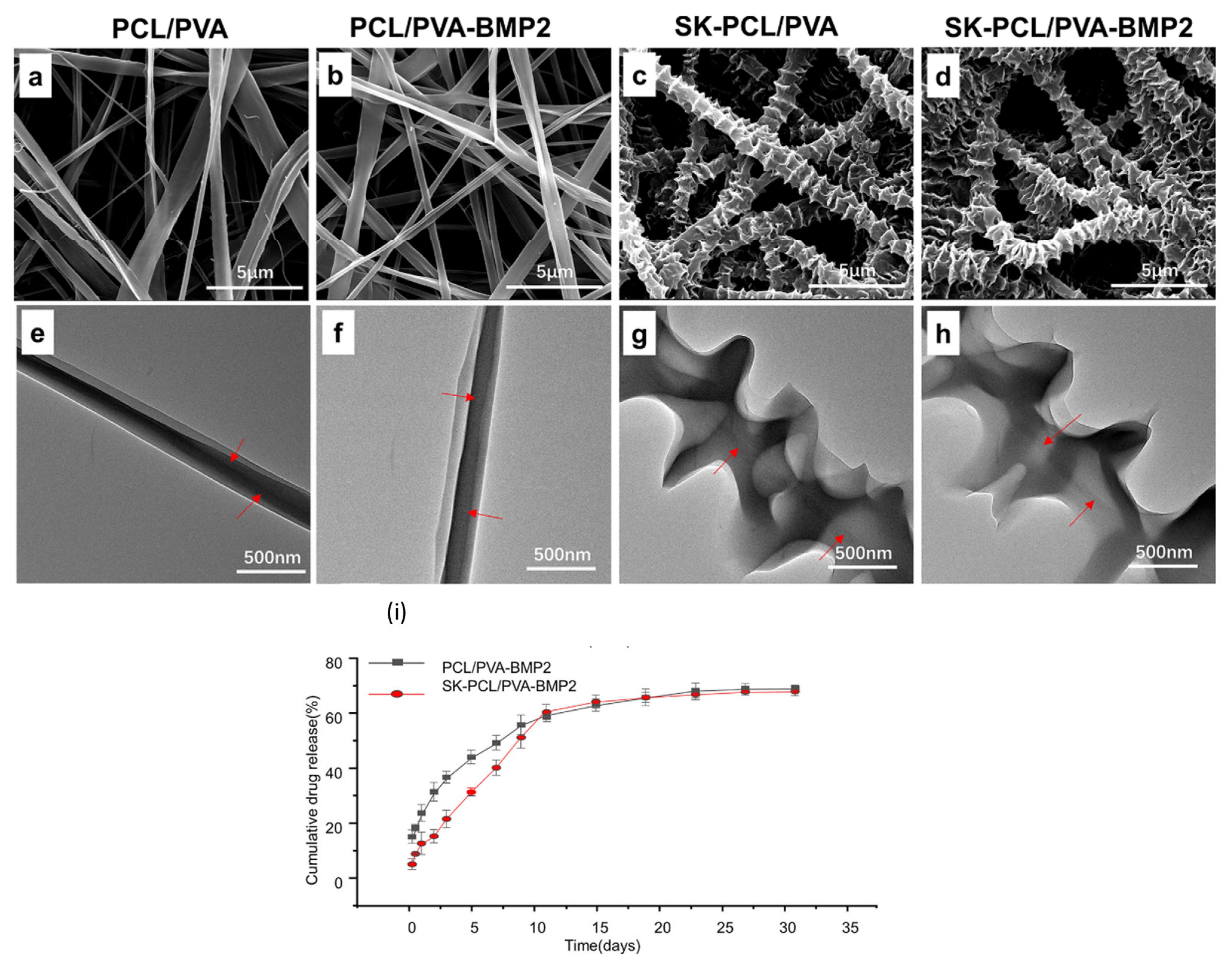 Polymers 15 03837 g017
