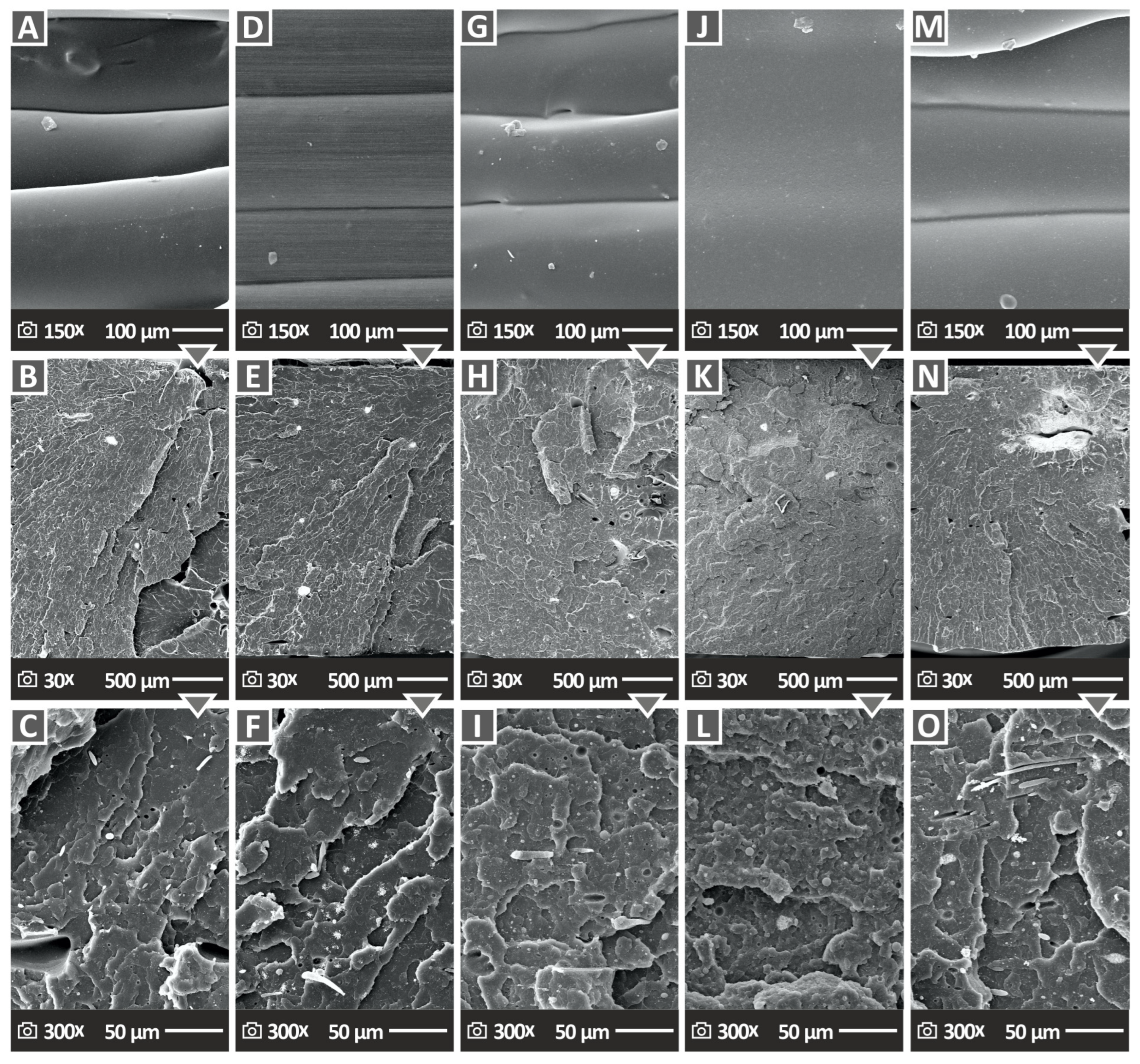 Polymers 15 03883 g013
