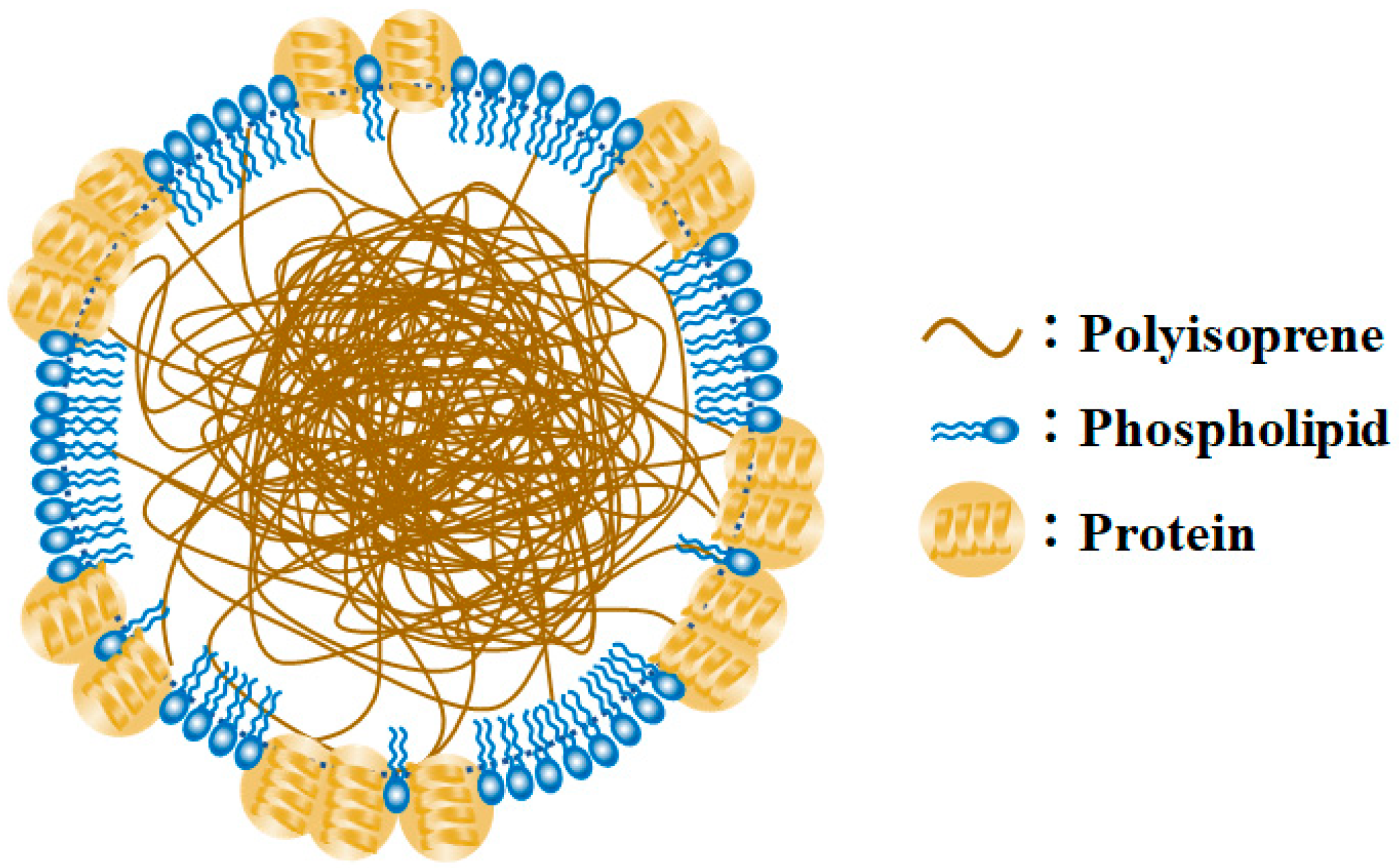 Polymers 15 03885 g001