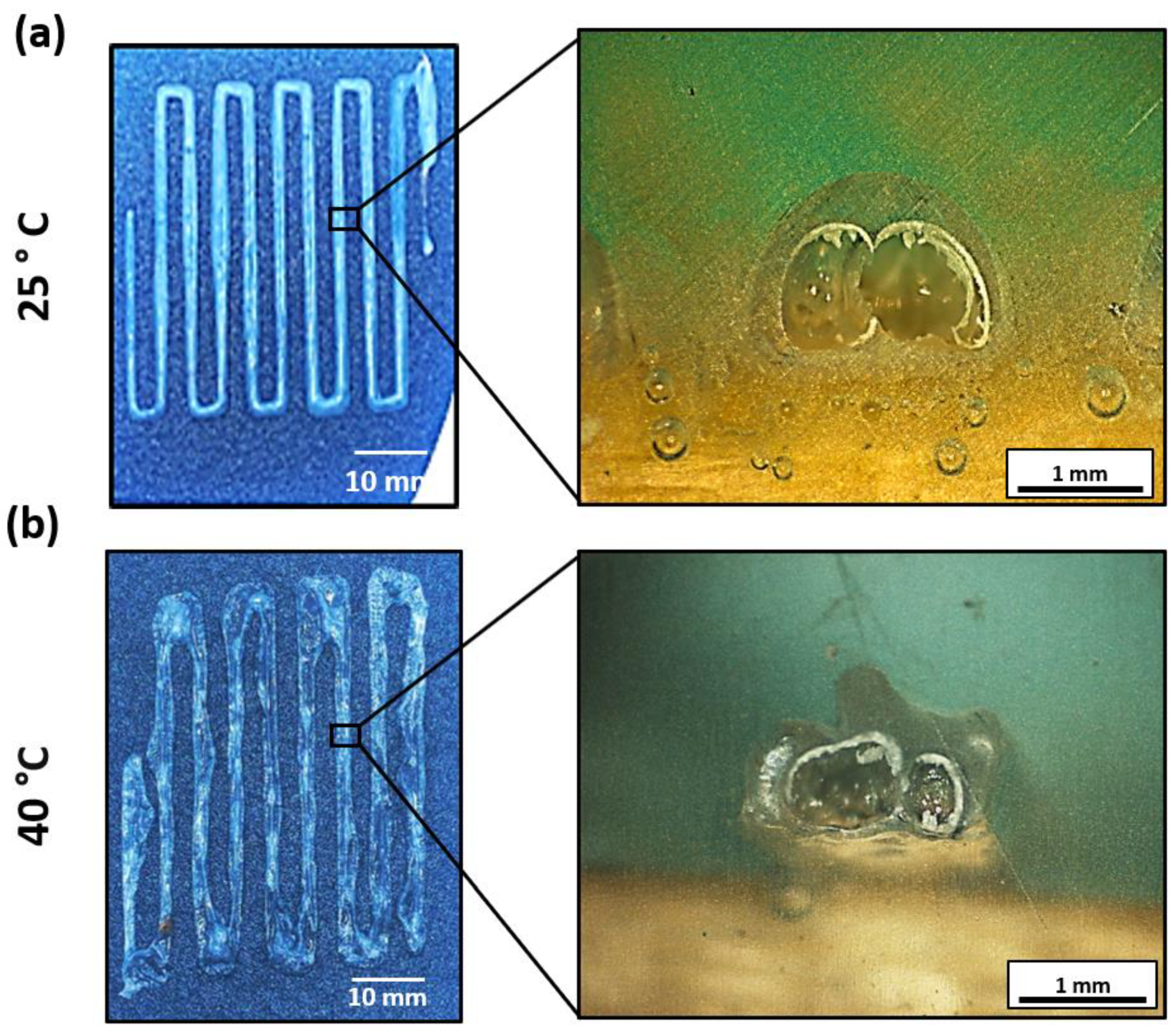 Polymers 15 03888 g008